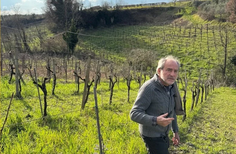 @cantinacaruso is the wine bar, deli and import venture born from Harry and Simona&rsquo;s Margate institution Bottega Caruso &mdash; a labour of love rooted in Simona&rsquo;s home village of Foglianise in Campania, where the couple have spent years 