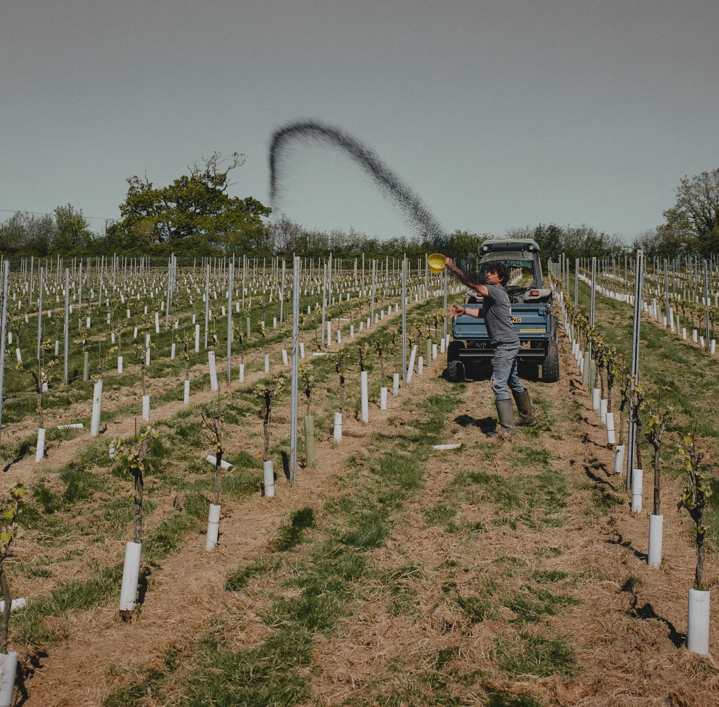 So happy to have @philipharriswine joining us for LOW again this year! His career started in 2006, working in Alsace, Galicia, and Czechia as well as England. He managed Davenport Vineyards before planting his own vineyard near Hastings. 
He has alwa