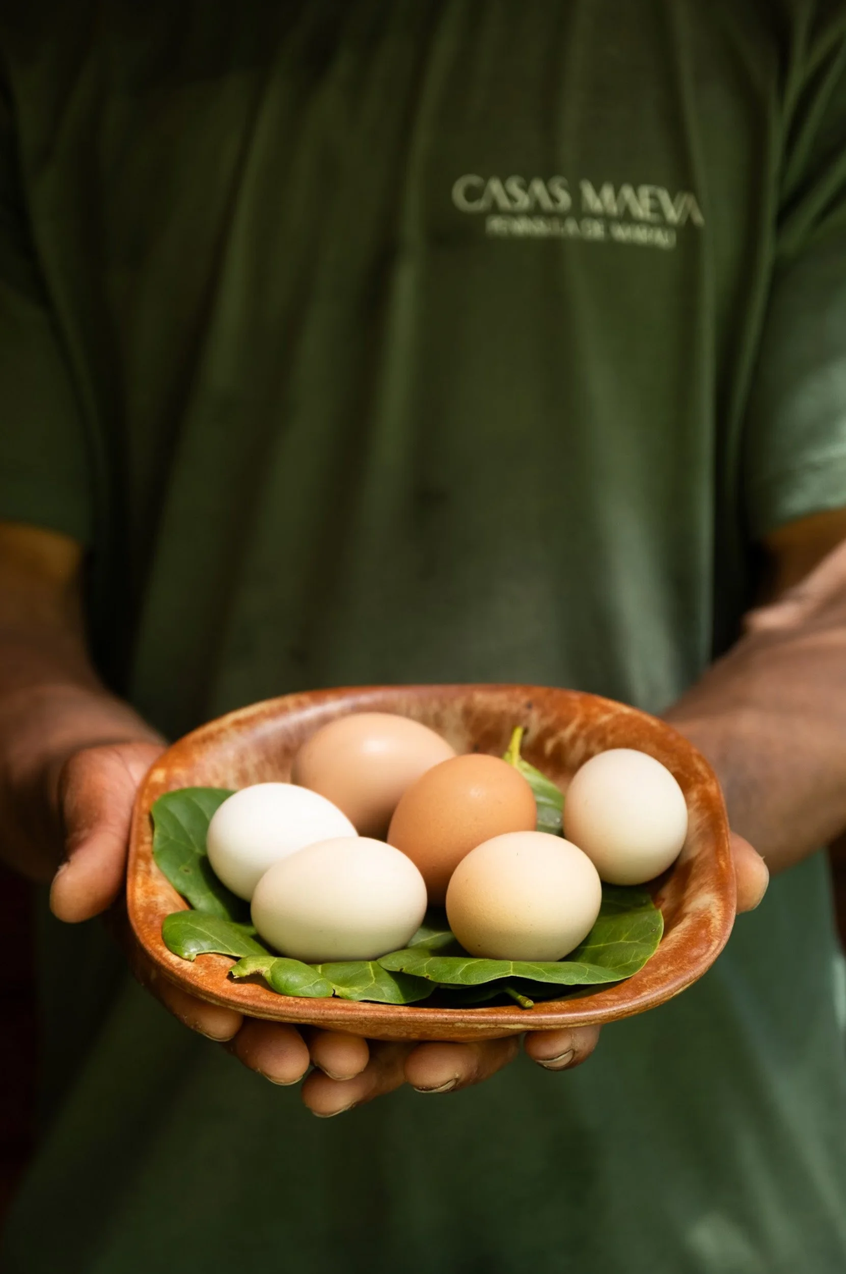 Captura de Tela 2025-08-31 às 13.00.39(1).jpg