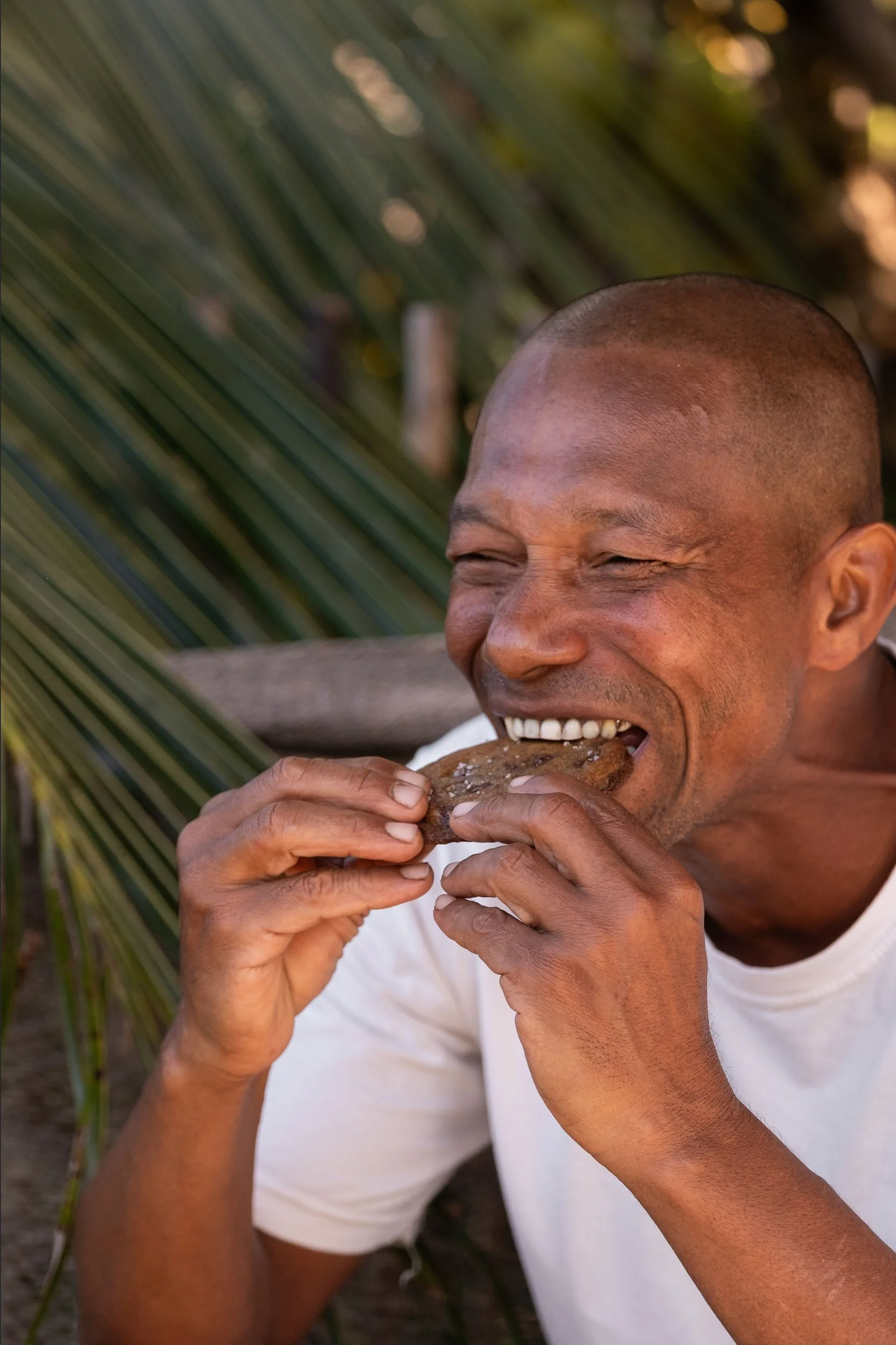 Captura de Tela 2025-08-31 às 14.33.35.jpg