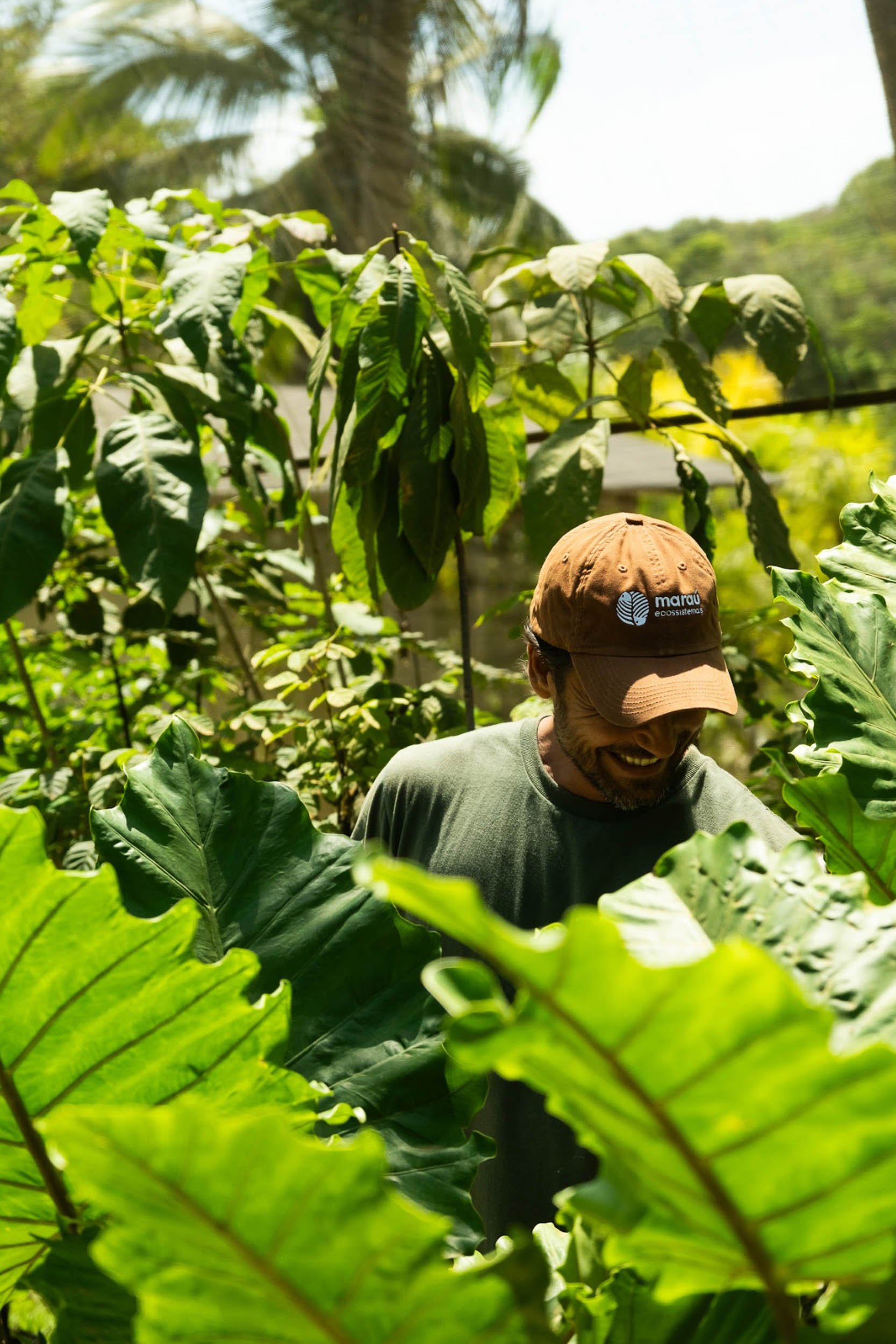 Captura de Tela 2025-08-31 às 15.18.44.jpg