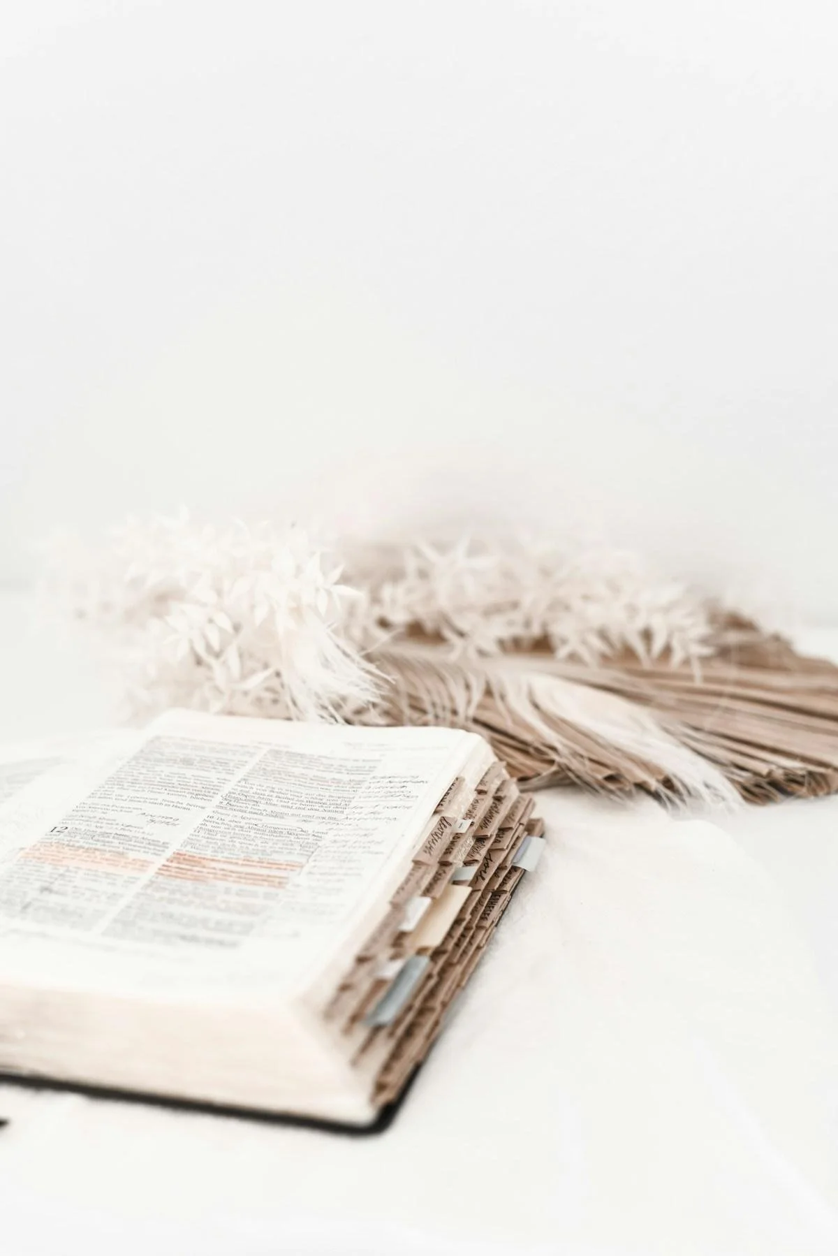 Free 5-day devotional for women who have been surviving so long they forgot what it feels like to live
