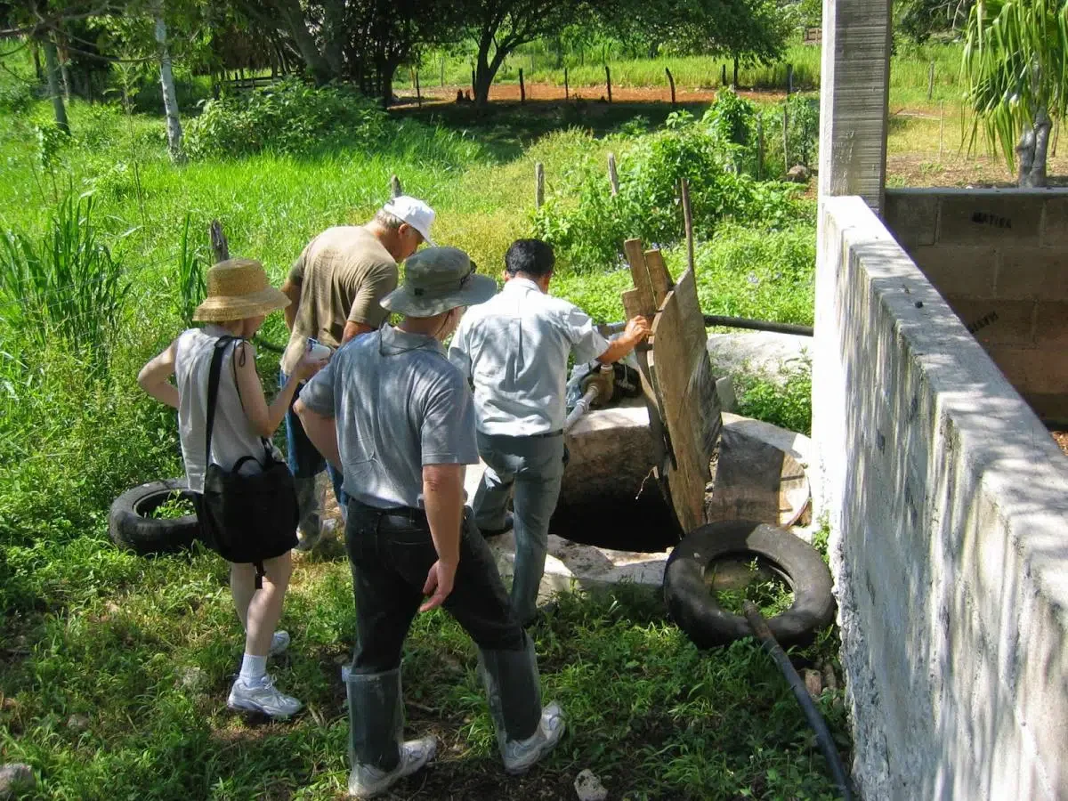 Upcoming Cultural Exchange Opportunities