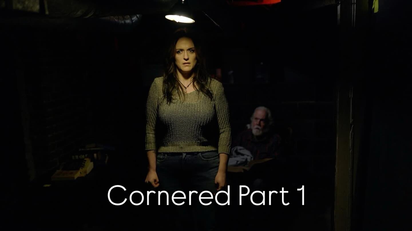 Cornered: The Series