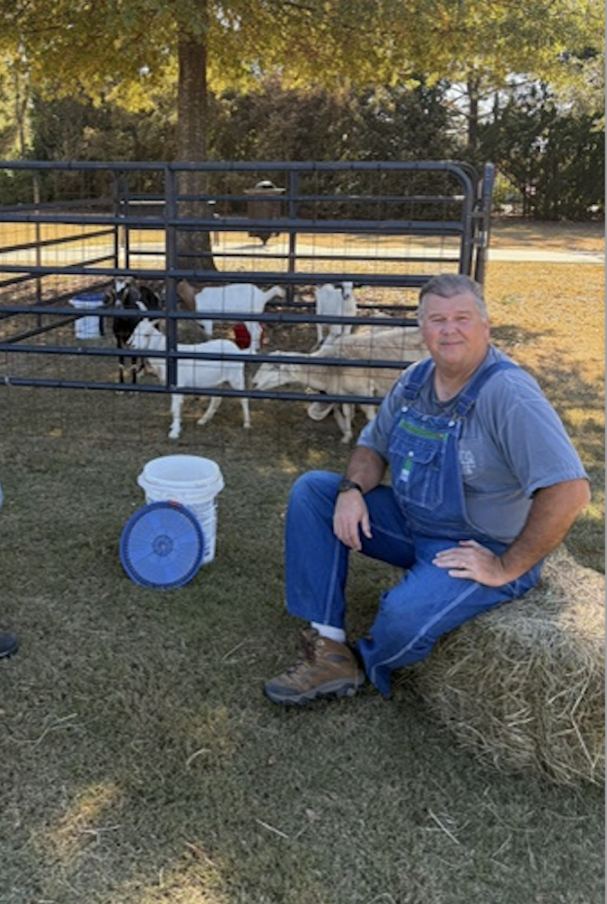 A man sitting on a hay bale in front of a small farm pen with goats, outdoors on a sunny day with trees in the background.