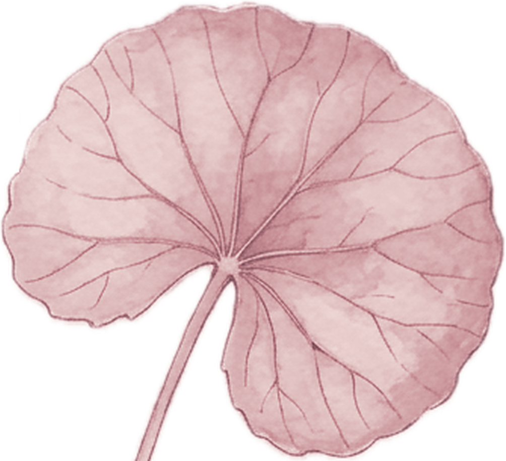 centella big pink leaf.png