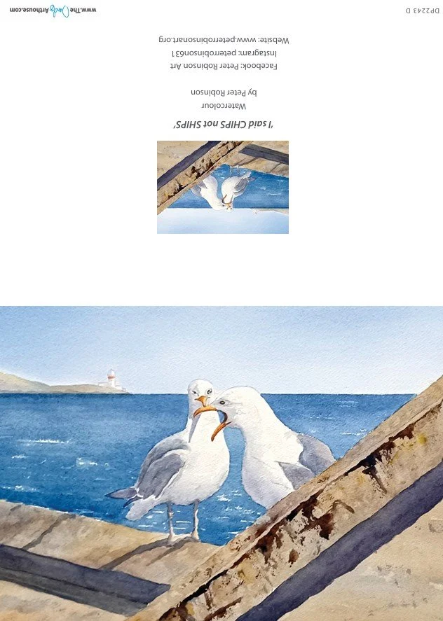 SeagullsGC.jpg