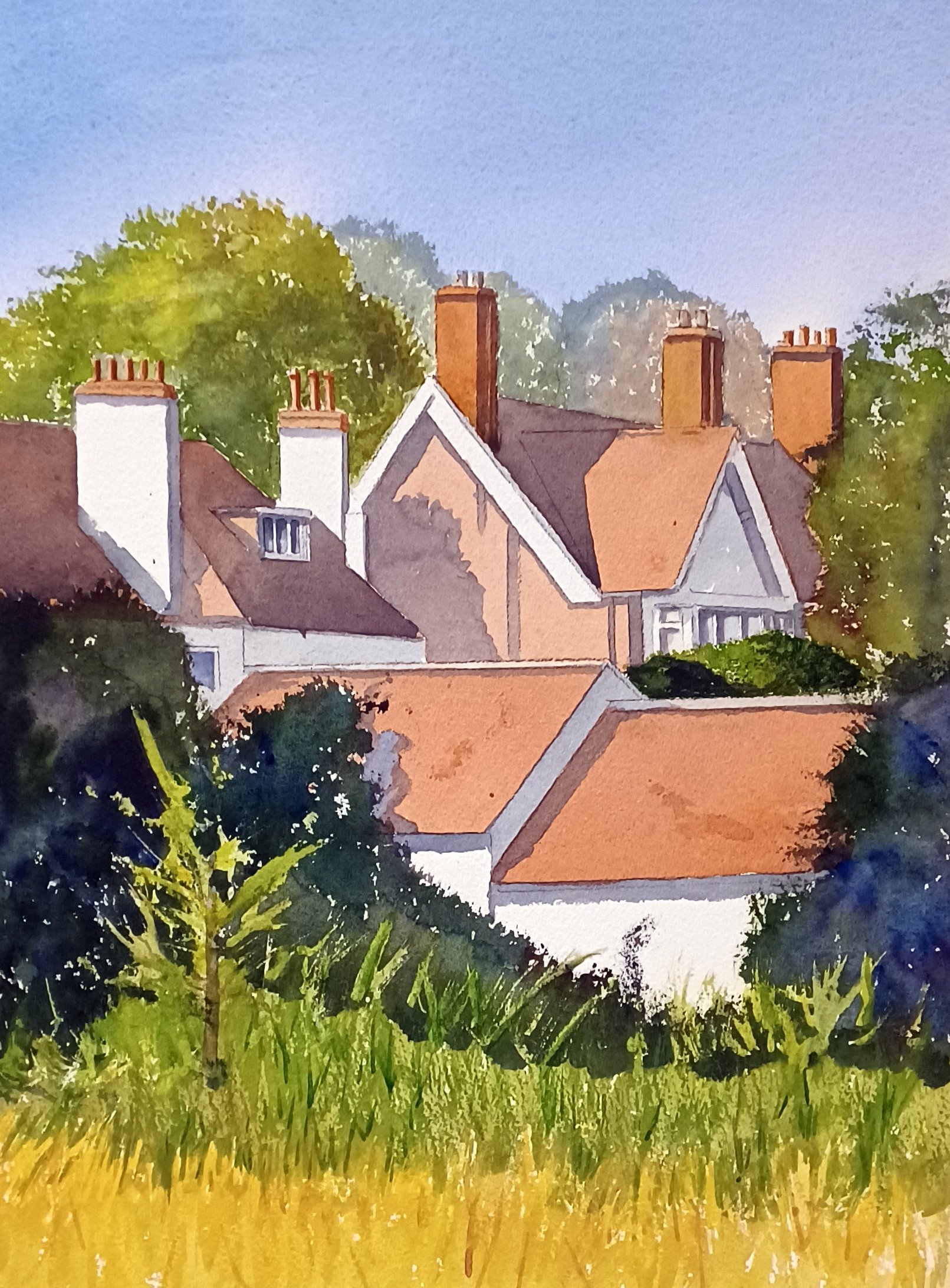 Eastgate Houses from Hall Garth Park25f1.jpg