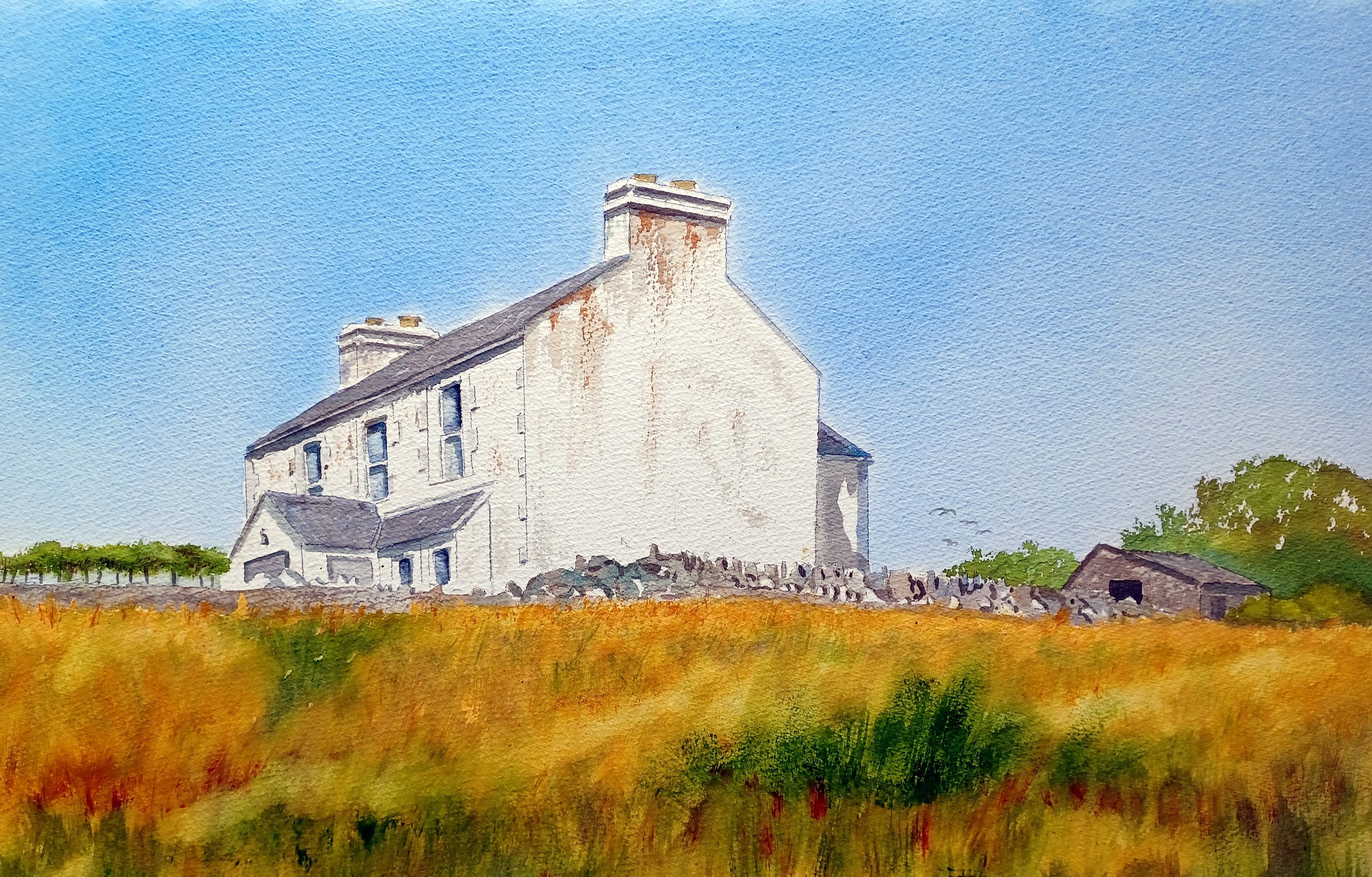 Cottage at Cregneash26f1.jpg