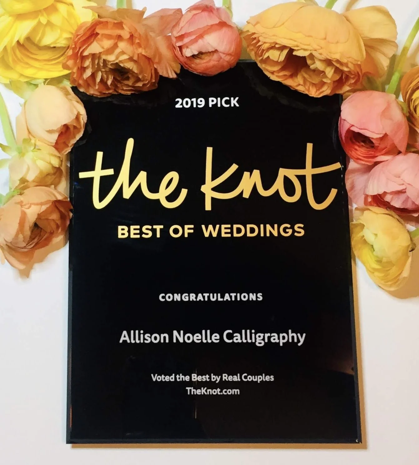 An award certificate with a black background and gold border, surrounded by pink, peach, and yellow flowers, awarded to Allison Noelle Calligraphy for Best of Weddings in 2019 by The Knot.