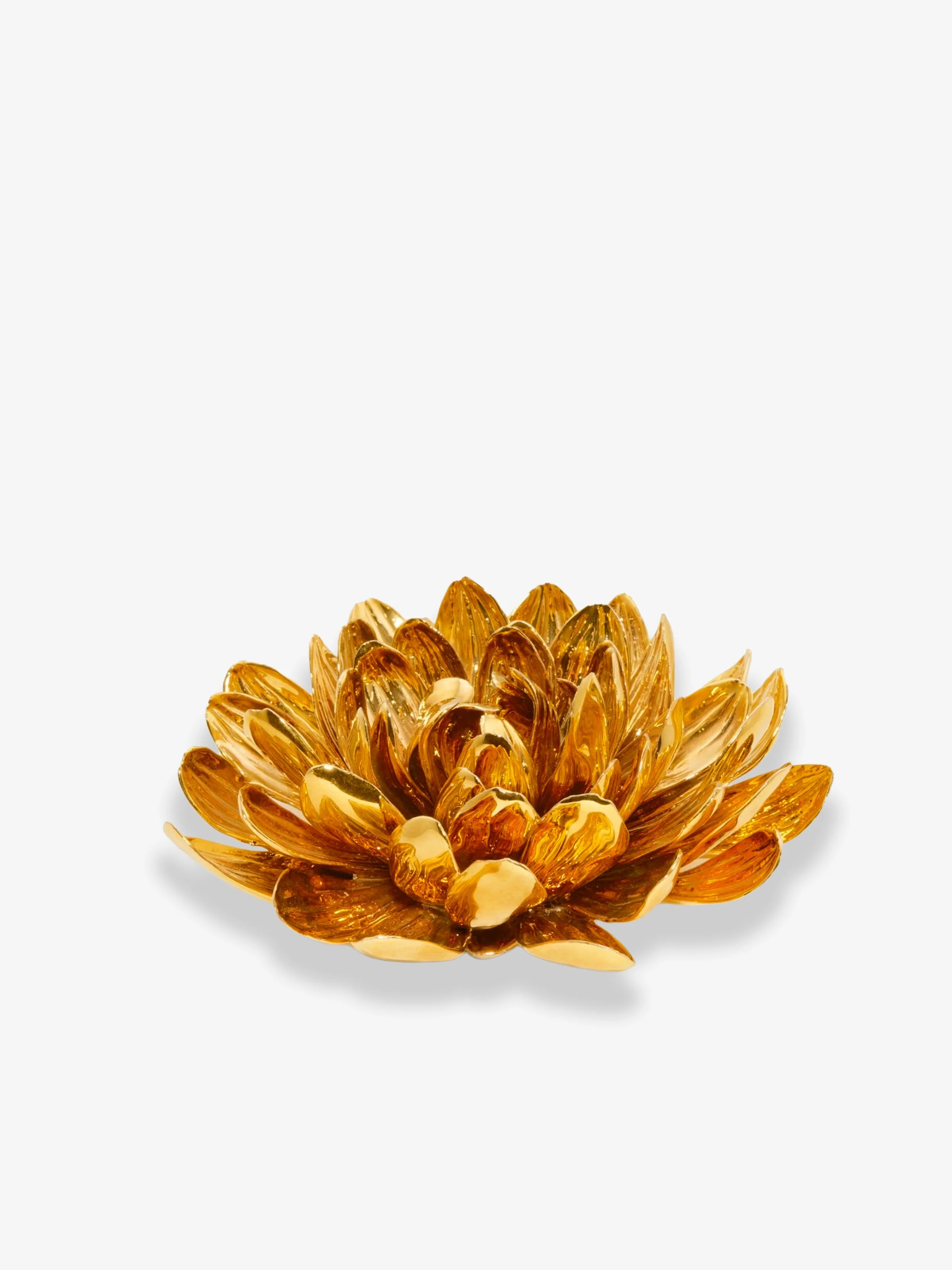 dahlia2.jpg