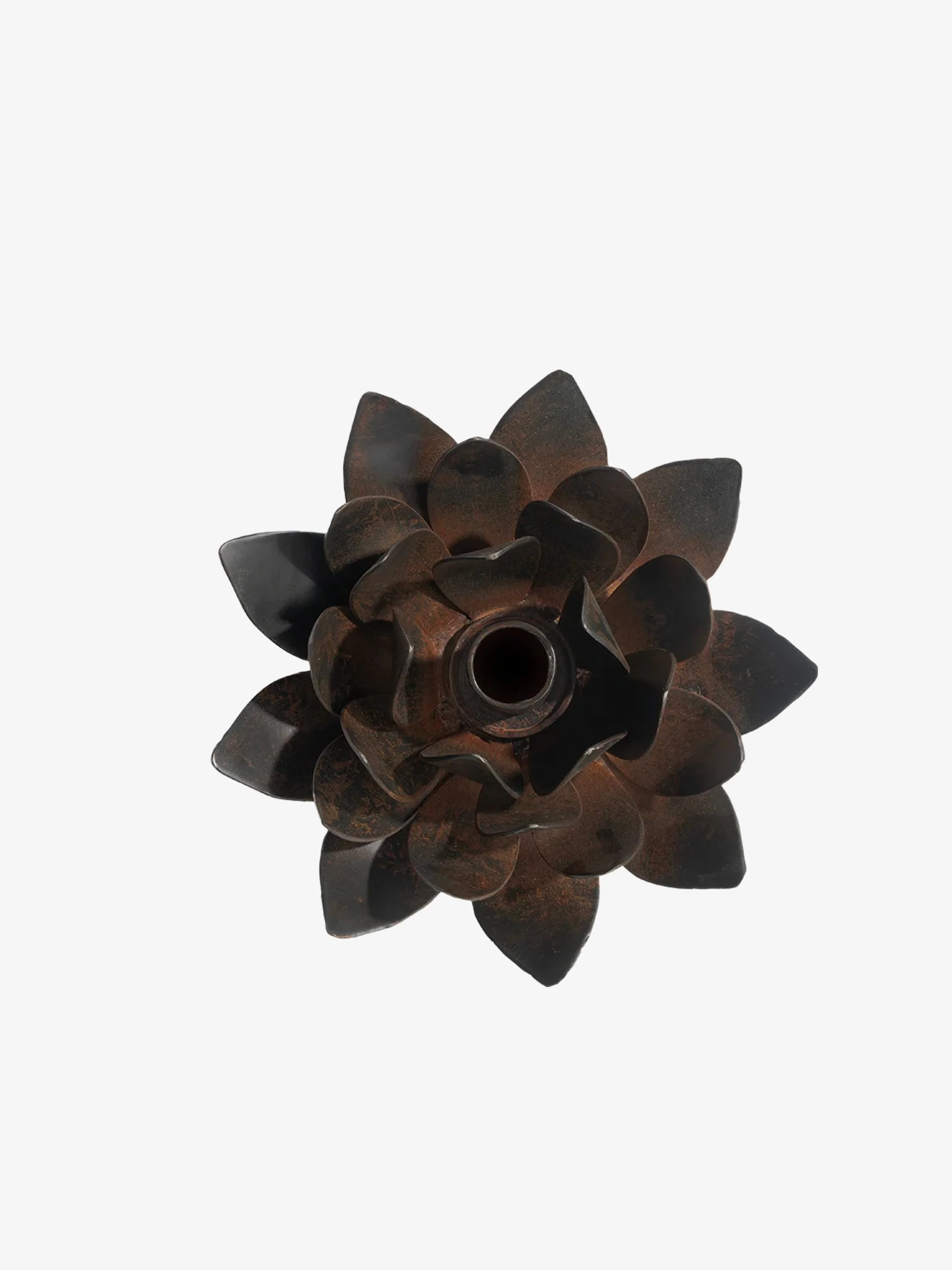 lotus3.jpg