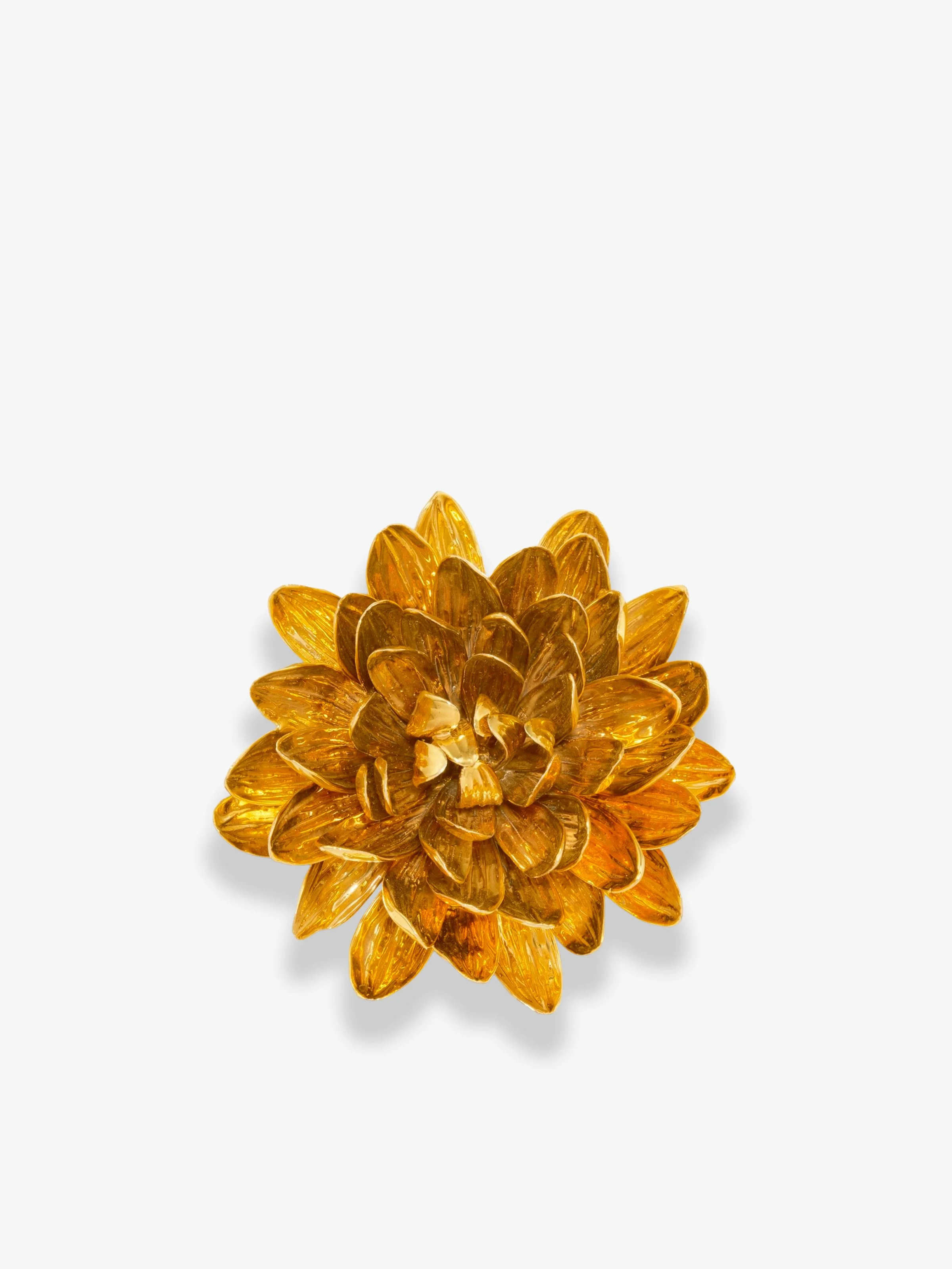 Dahlia3.jpg