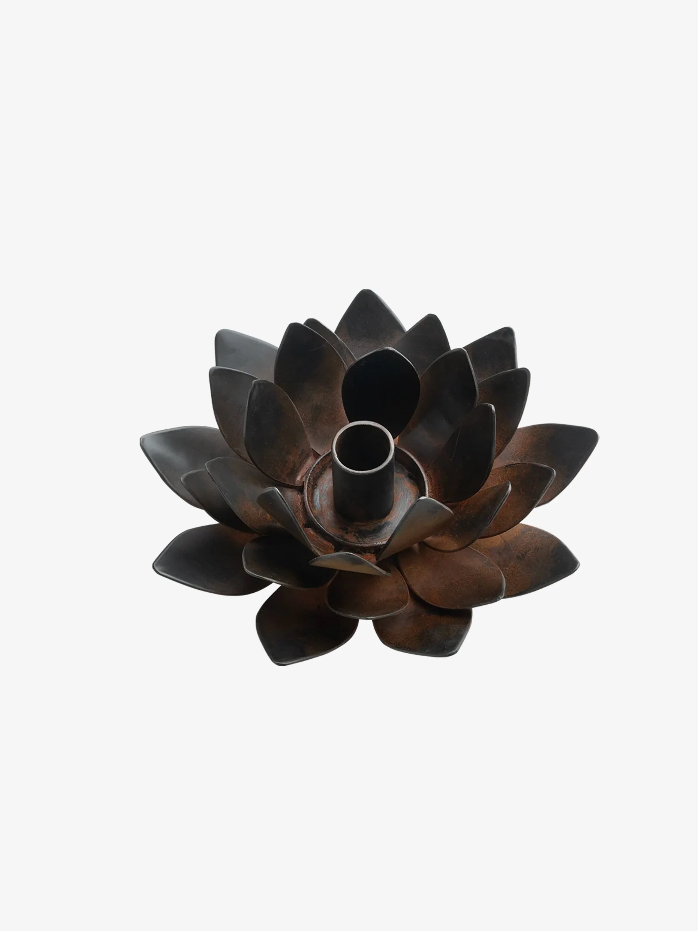 lotus2.jpg