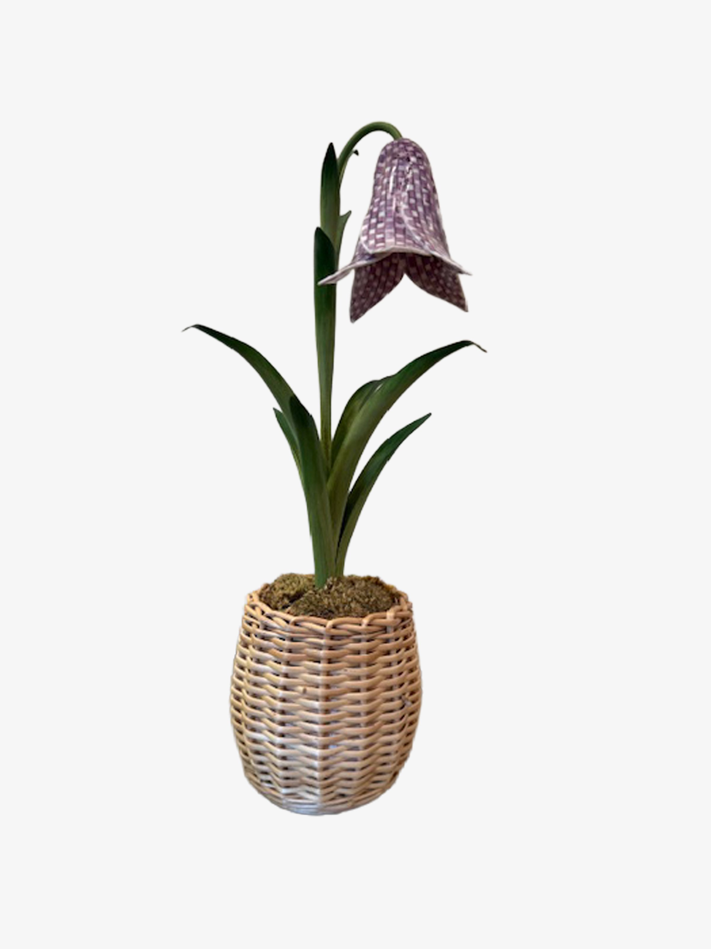 ceraminflower1.jpg