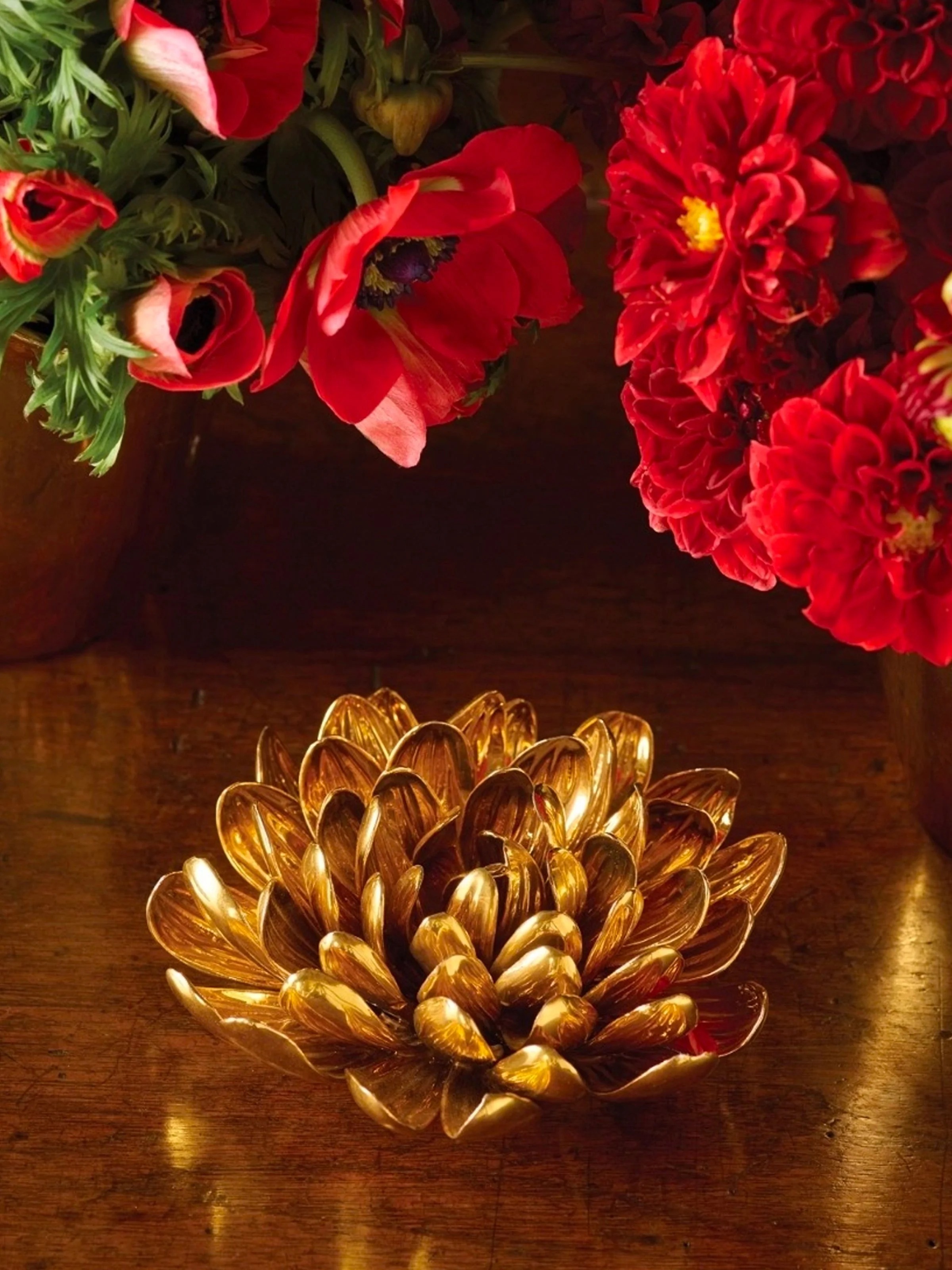 Dahlia1.jpg