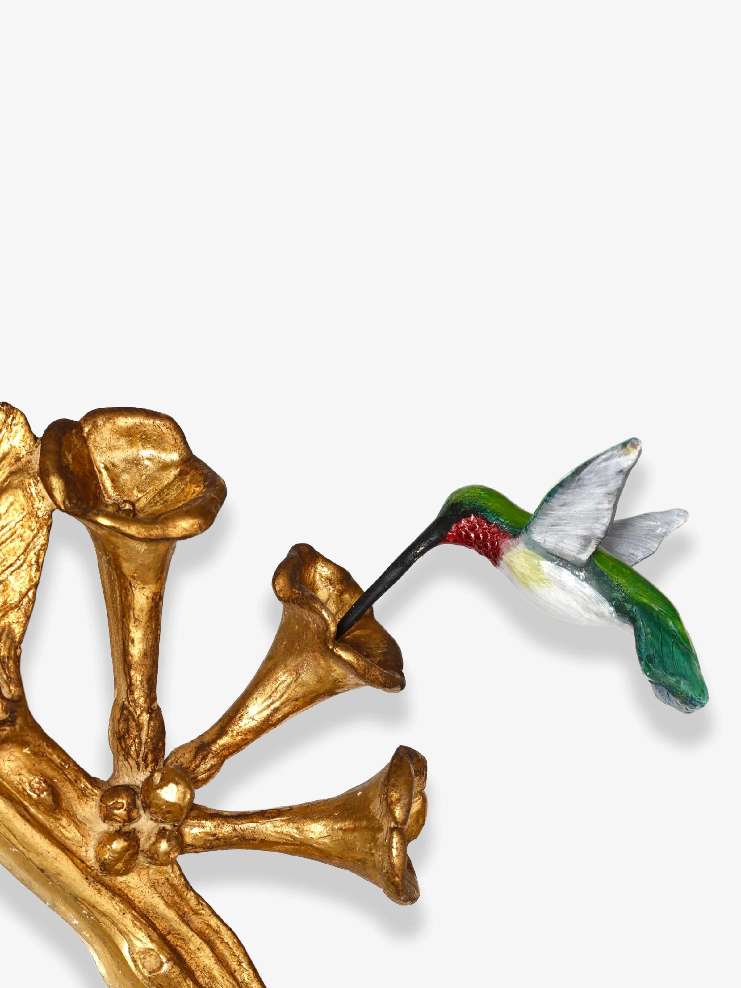 hummingbird3.jpg
