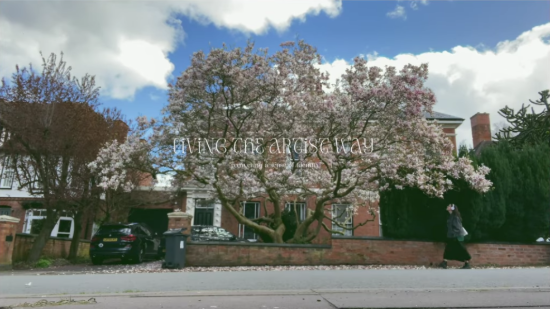 Woche 1: Morgenseiten