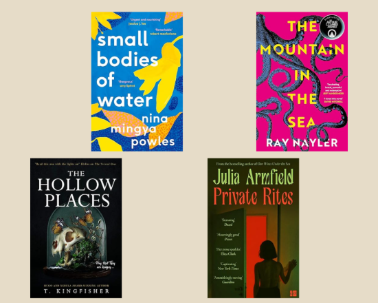 MsBrowns - Critique de livre 2024