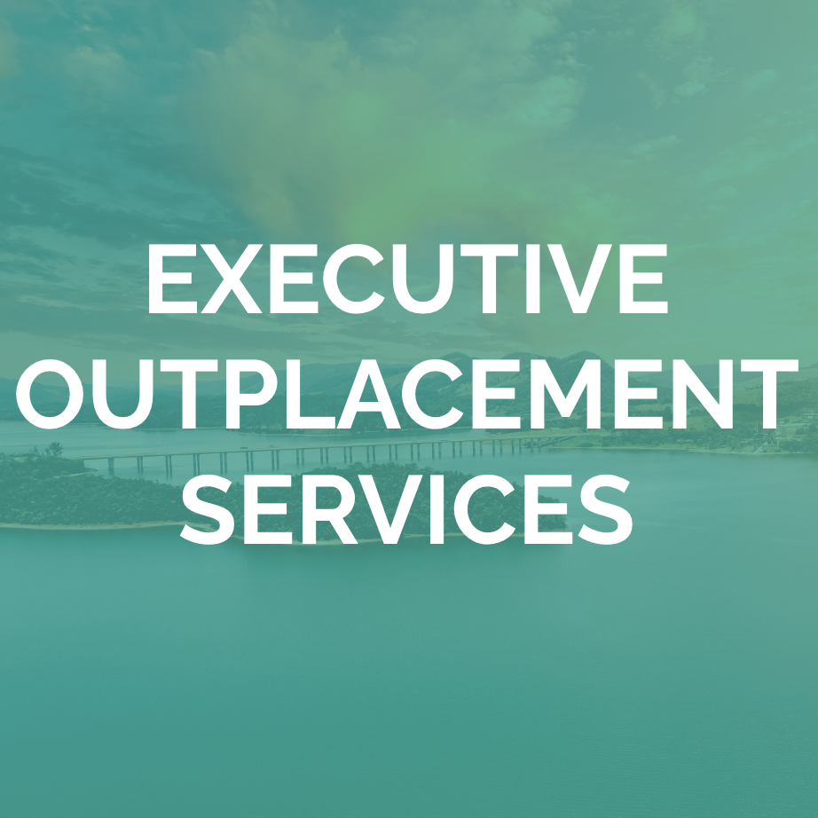 Executive-Outplacement-Services-Bridge-Overlay.png