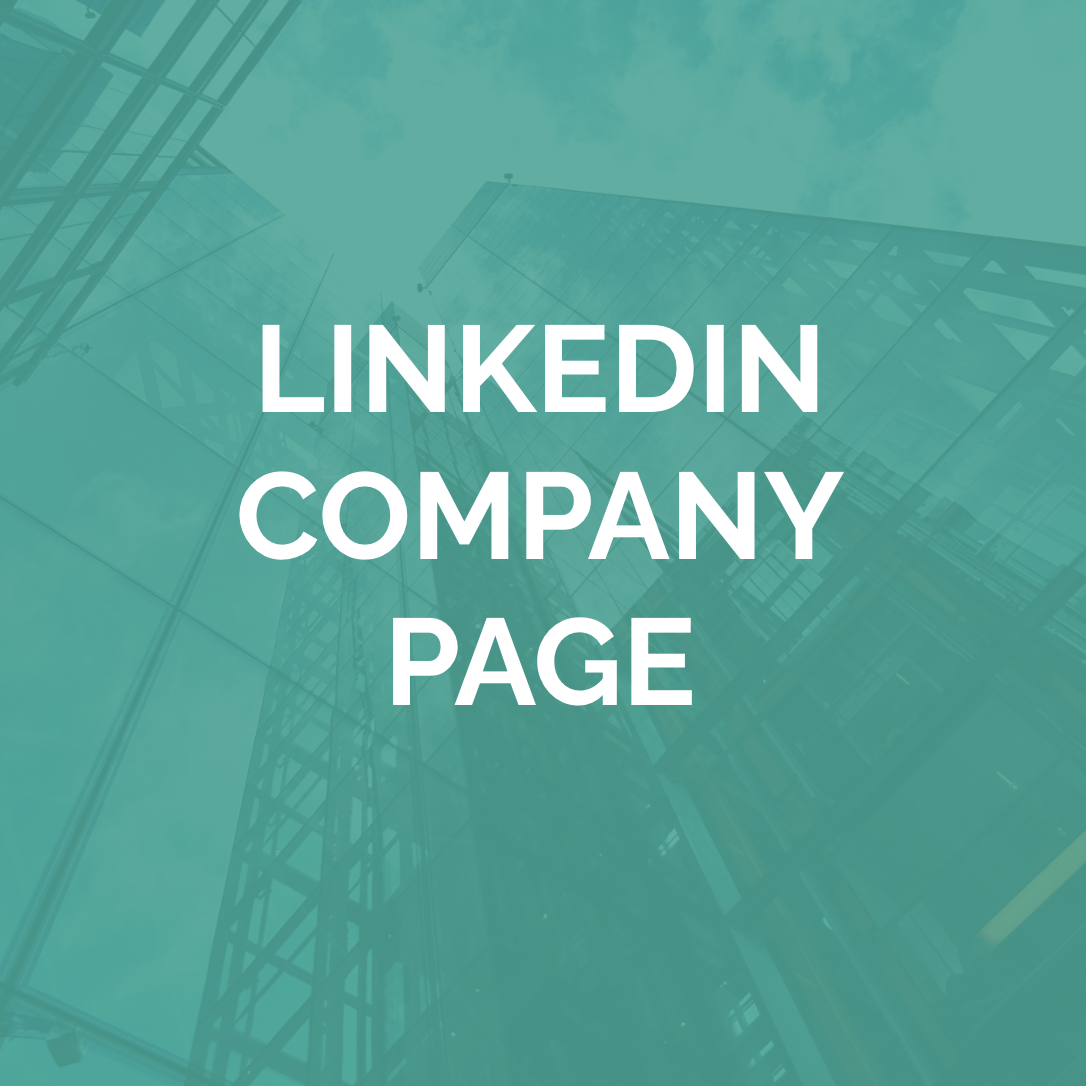 LinkedIn Company Page Development
