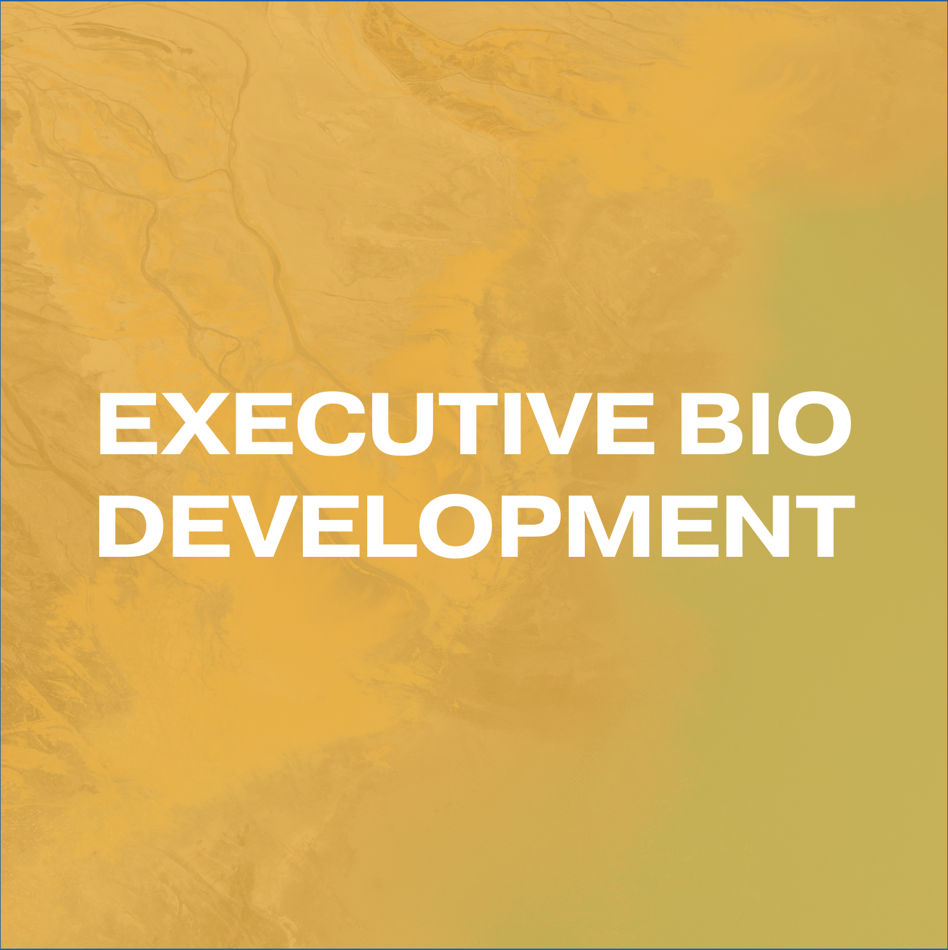 Executive Bio Development featuring an aerial coastal landscape that conveys perspective, clarity, and storytelling depth in professional brand presentation.