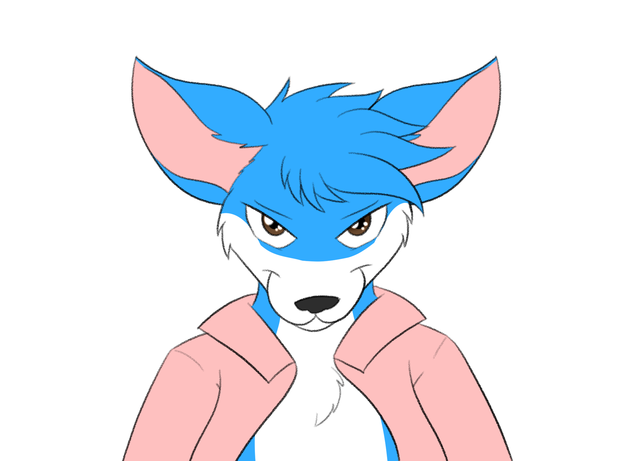 Illustration showing Aira's fursona, a blue and white colored fox wearing a pink shirt, looking up to no good.
