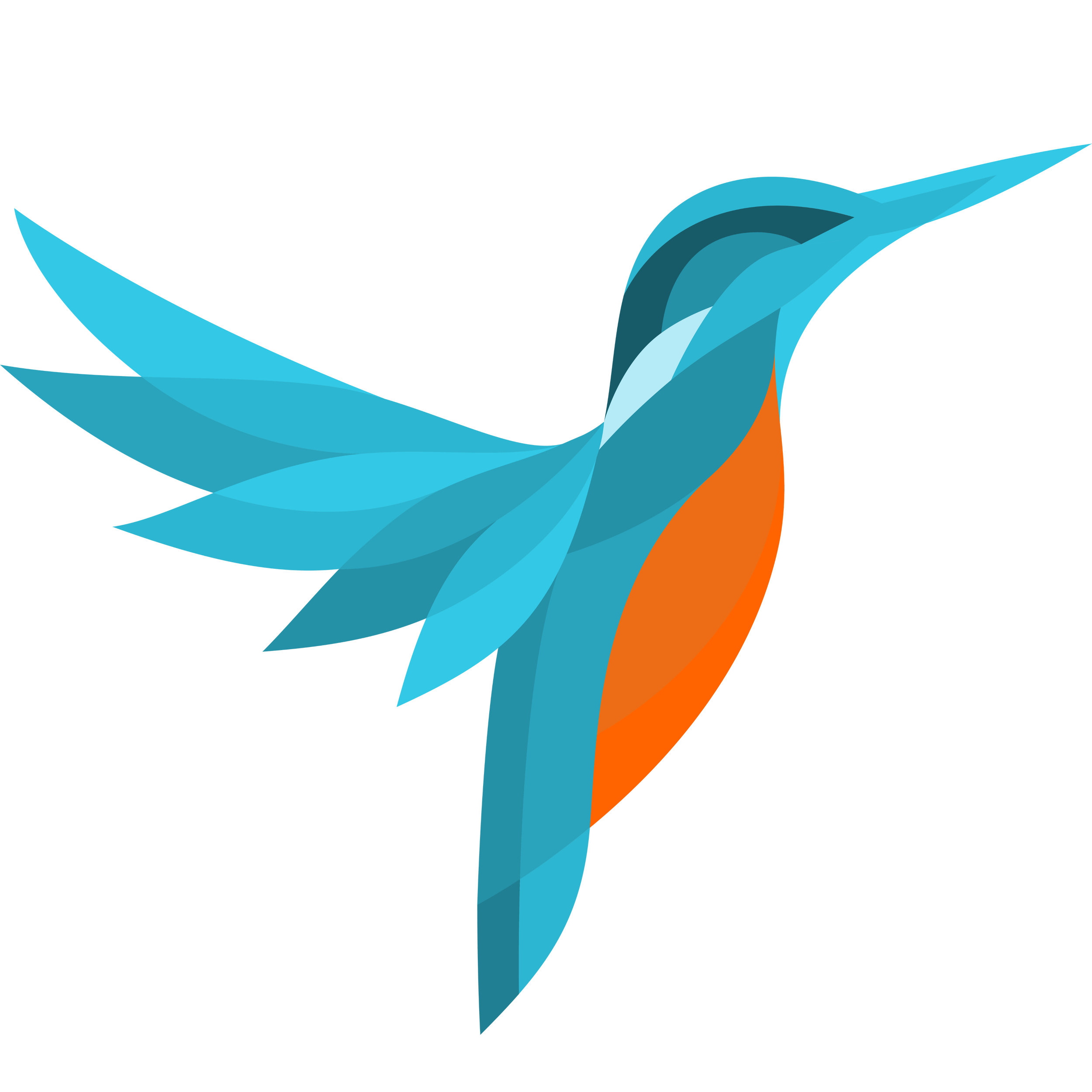 Illustration eines stilisierten blauen und orangefarbenen Eisvogels  mit ausgebreiteten Flügeln.