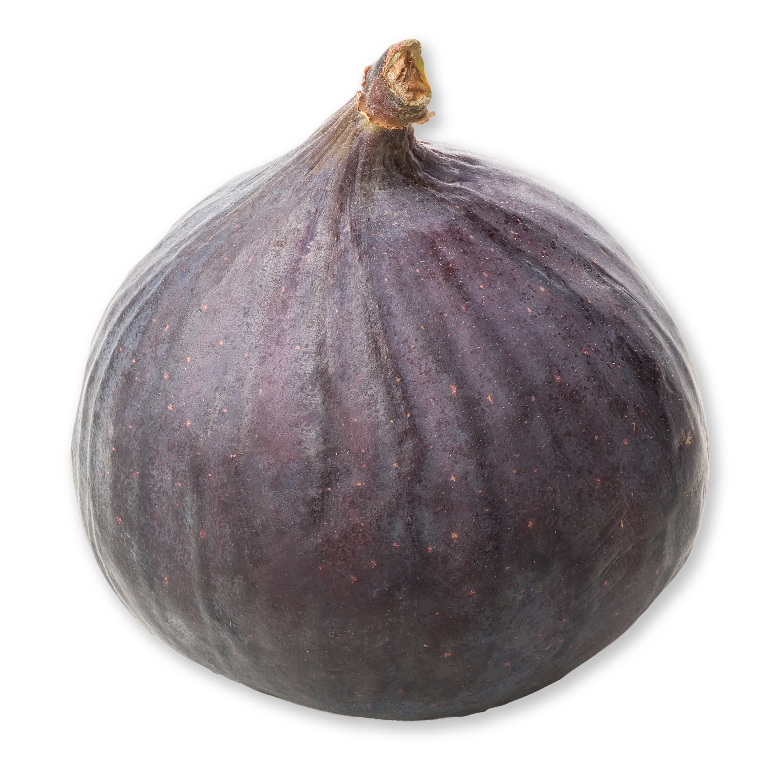 A close-up image of a ripe fig fruit with purple skin and a short stem on top against a black background.