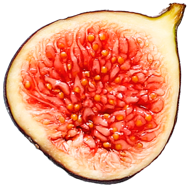 Vijgen eten tijdens de zwangerschap