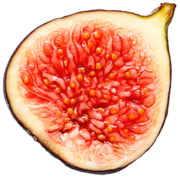 Vijgen bij de zwangerschap