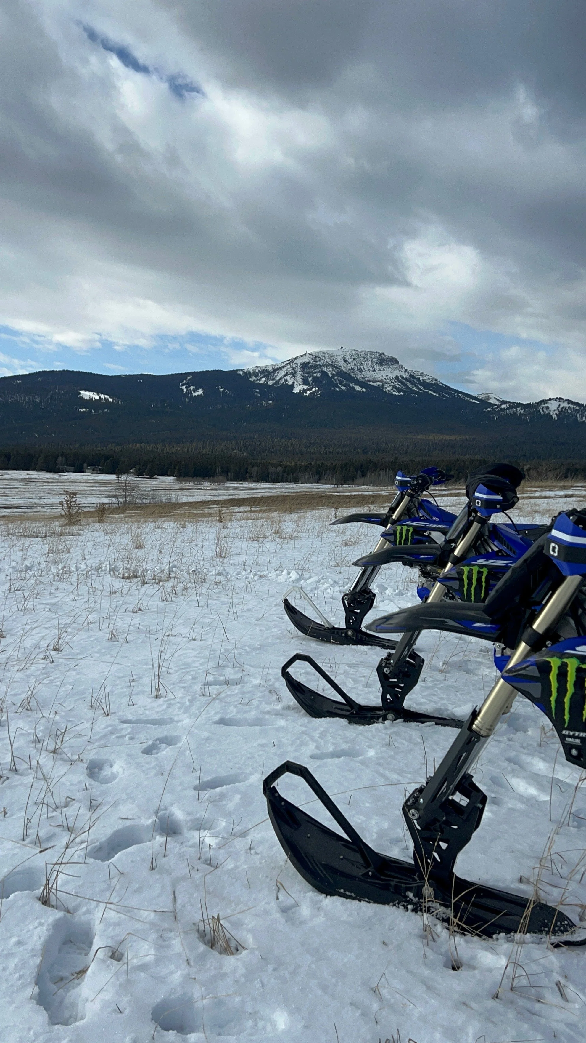 IMG_20251216_140443 (2).jpg