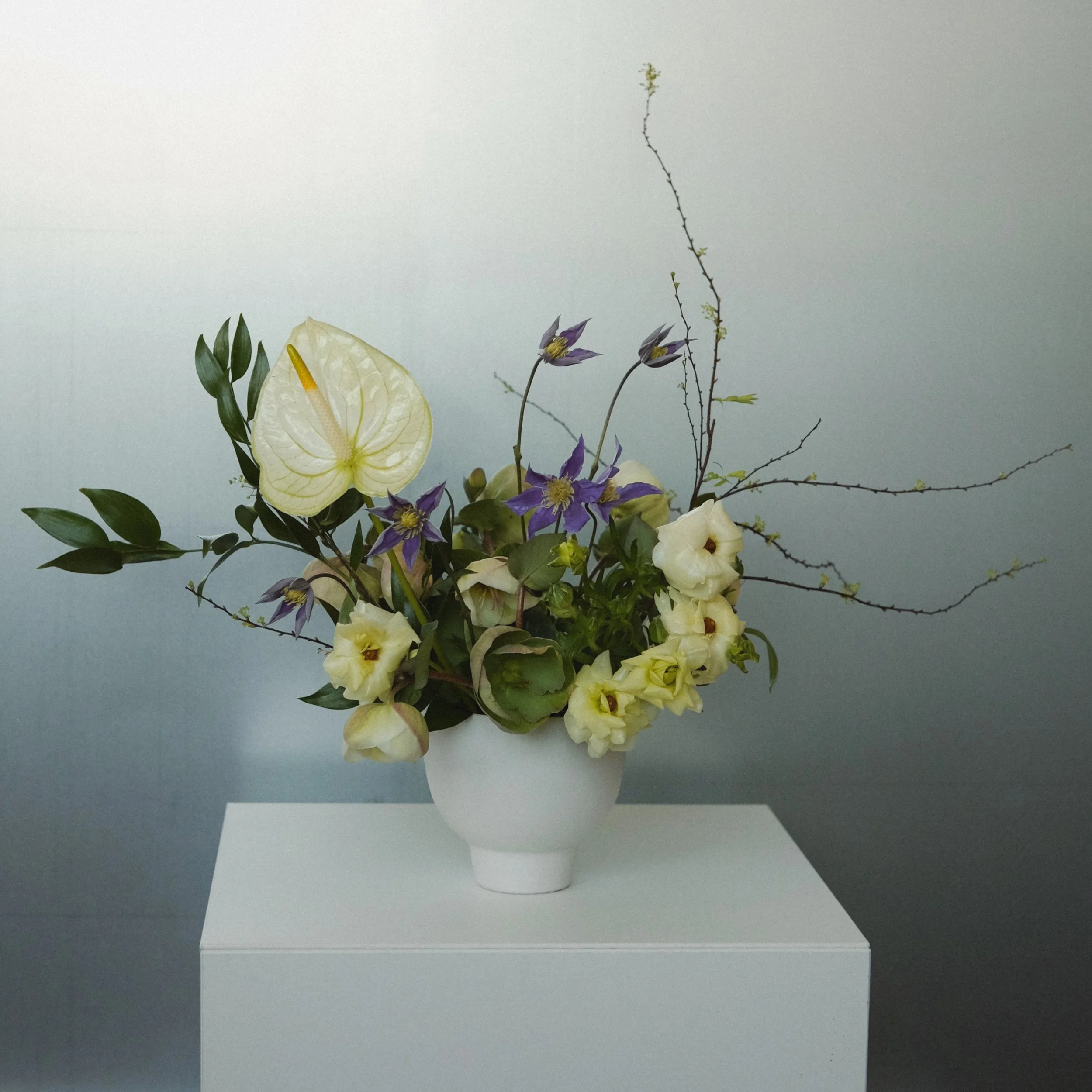 designer's choice - petite