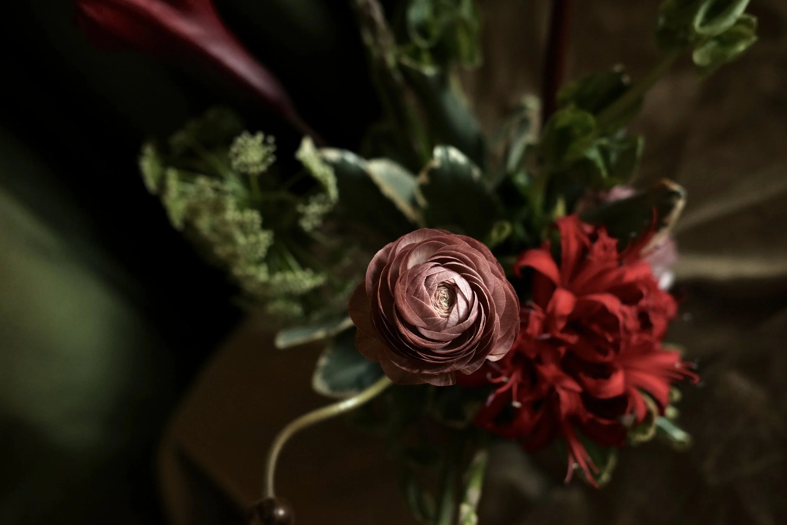 DSCF2723.jpg