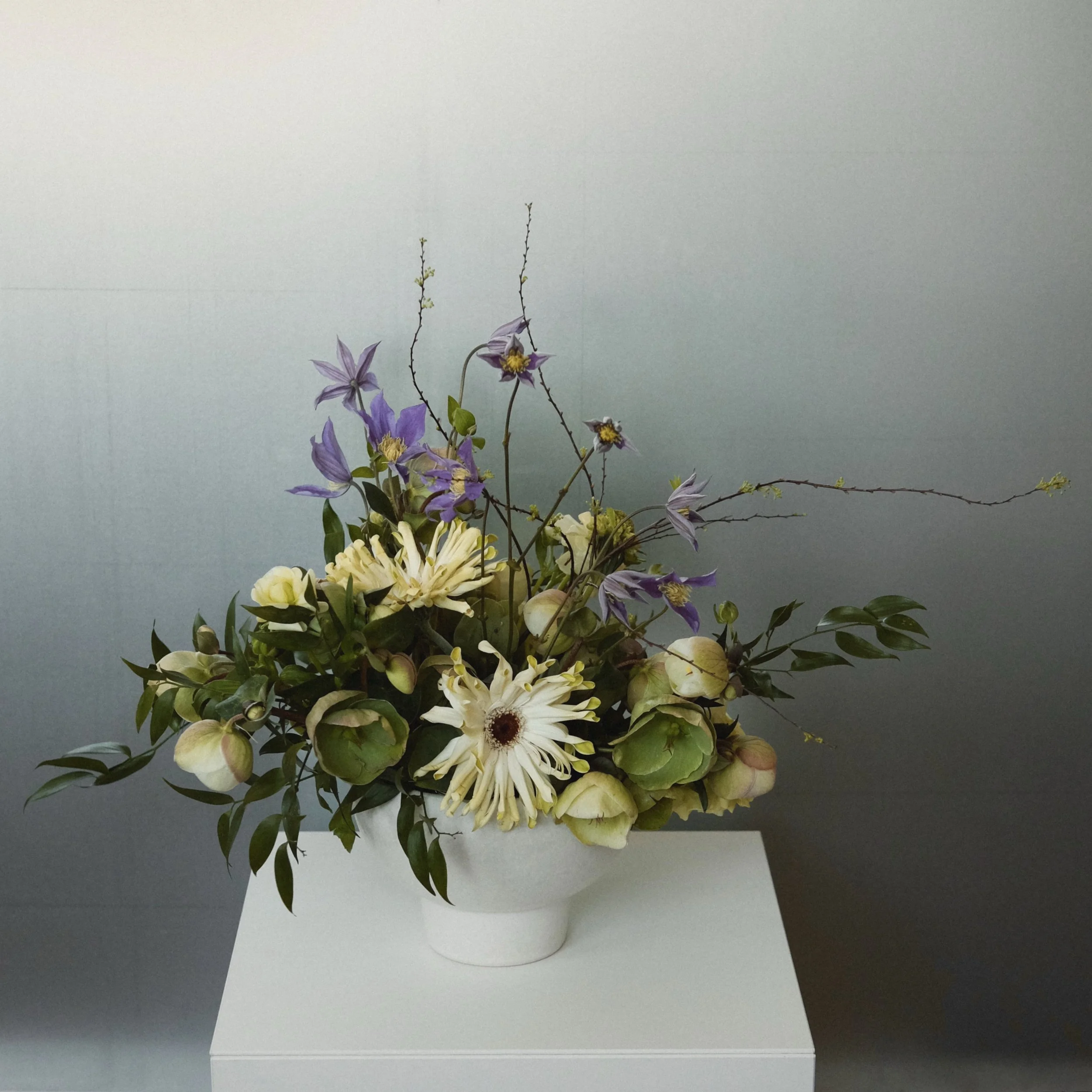 designer's choice - standard