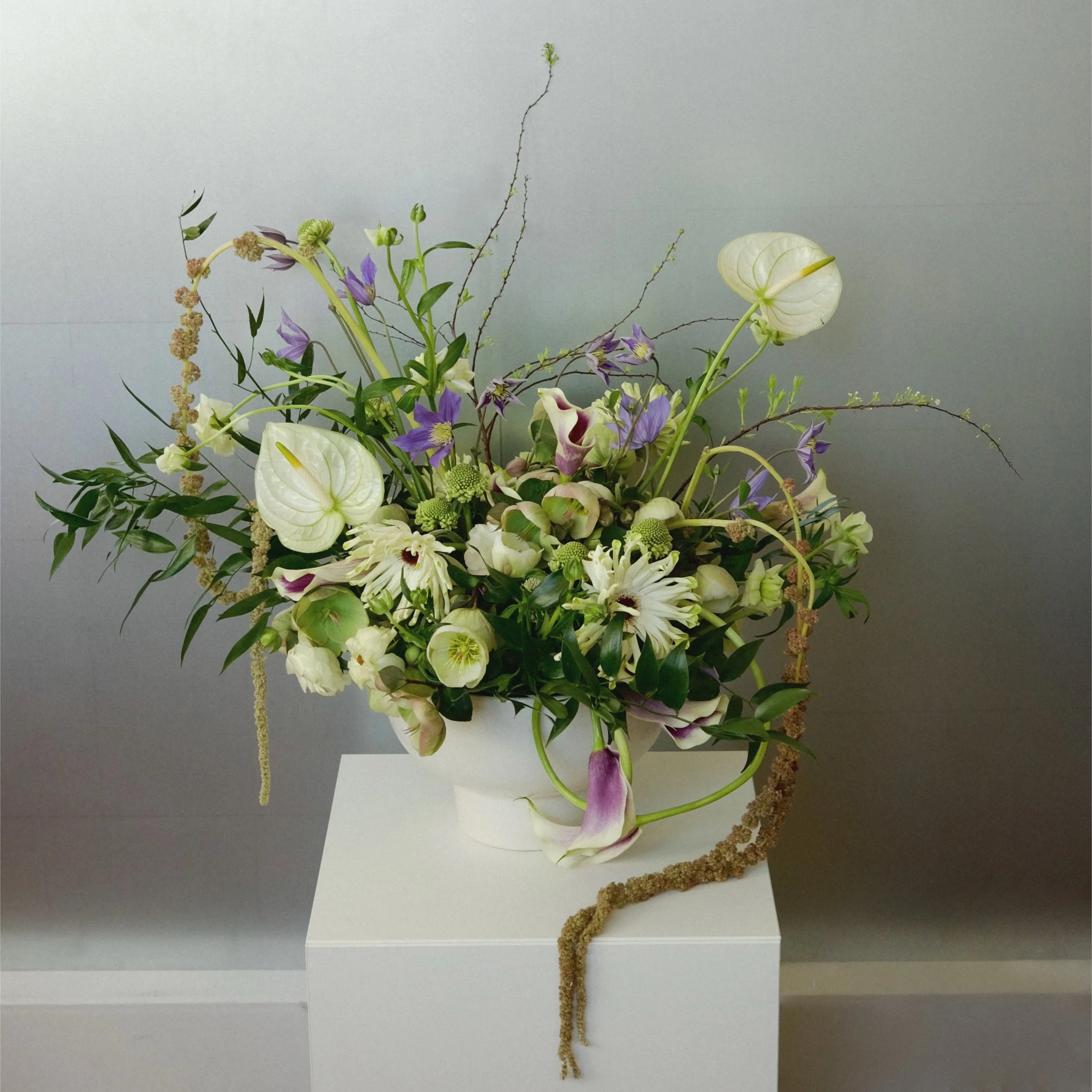 designer's choice - showstopper