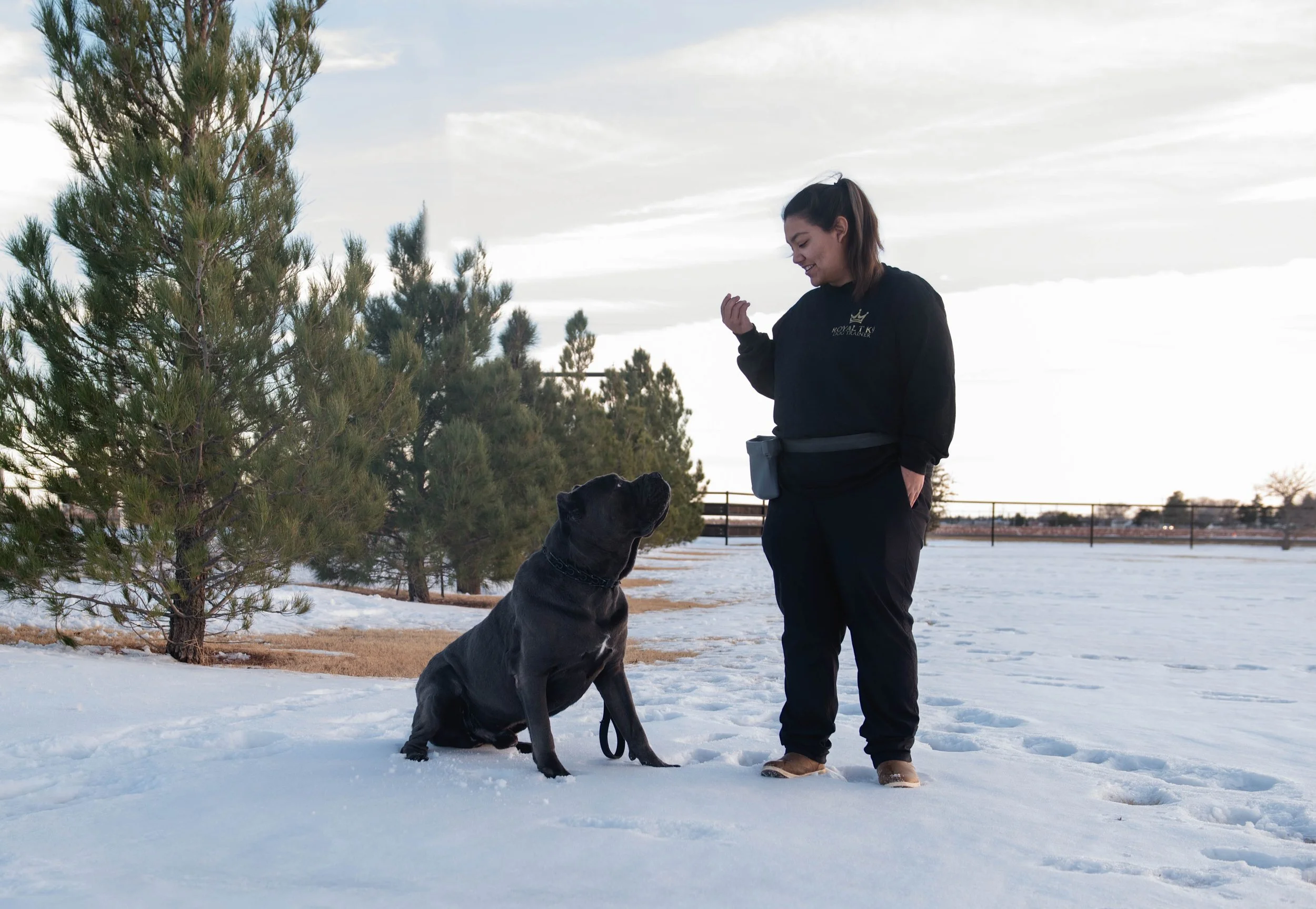 Royal 3 Week Board and Train