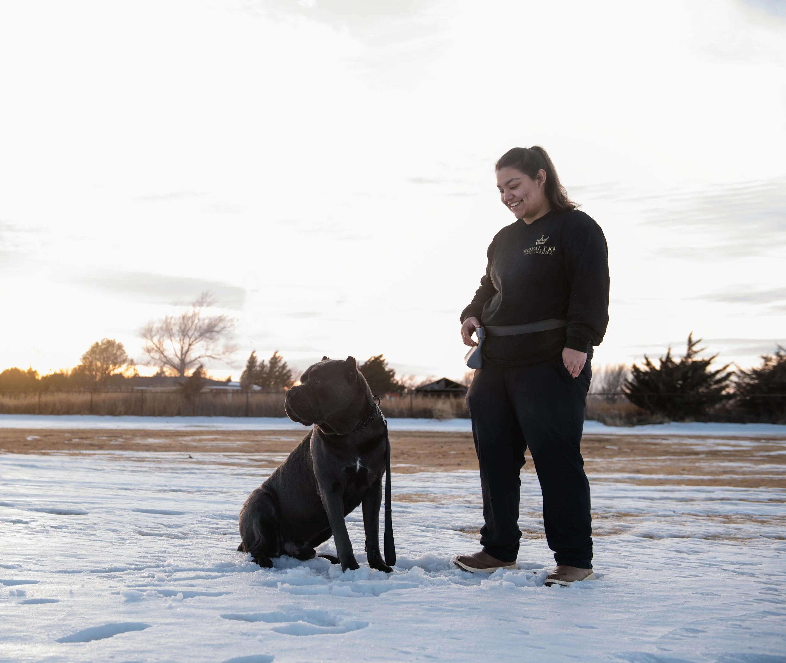 Royal 1 Week Board and Train