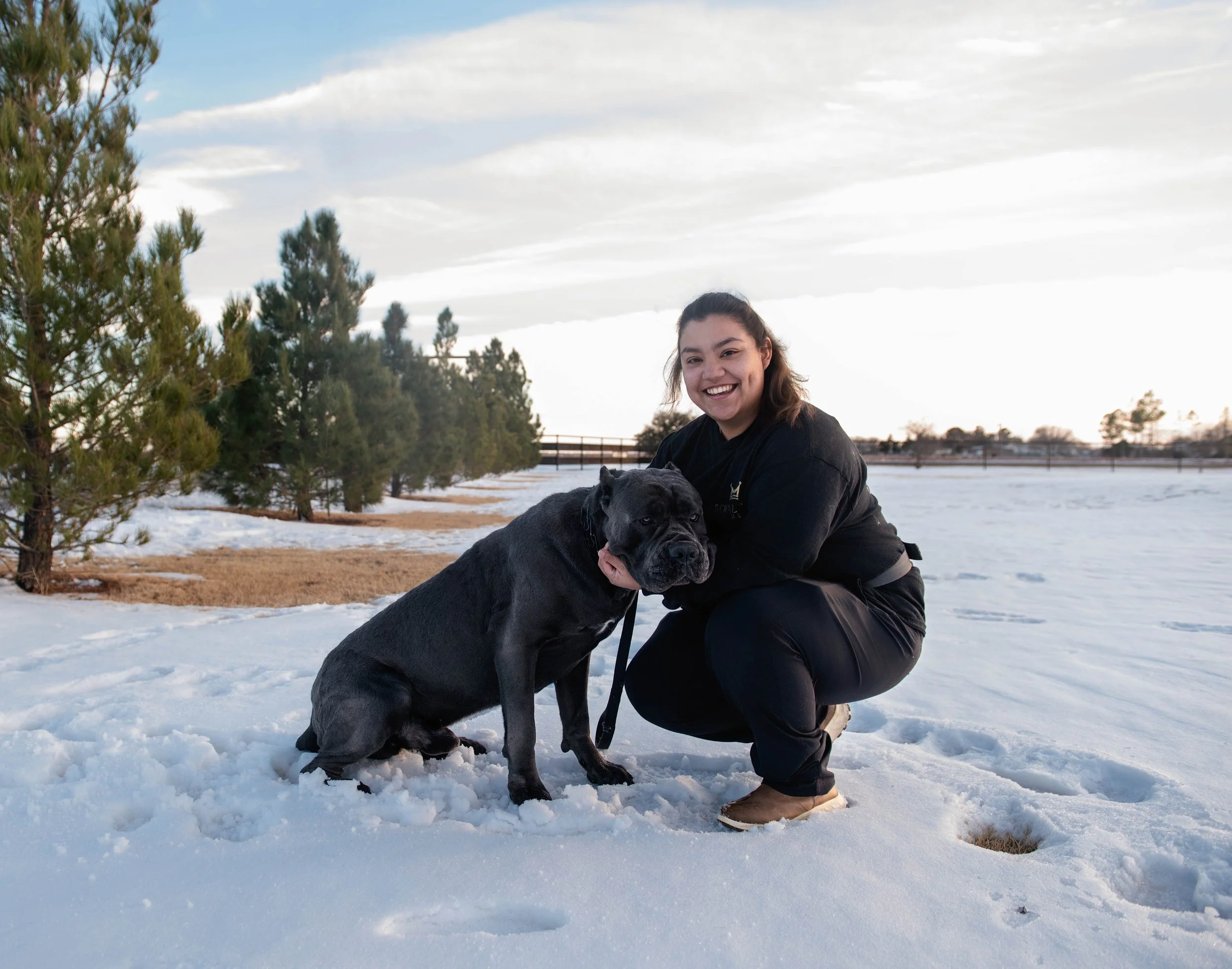 Royal 4 Week Board and Train