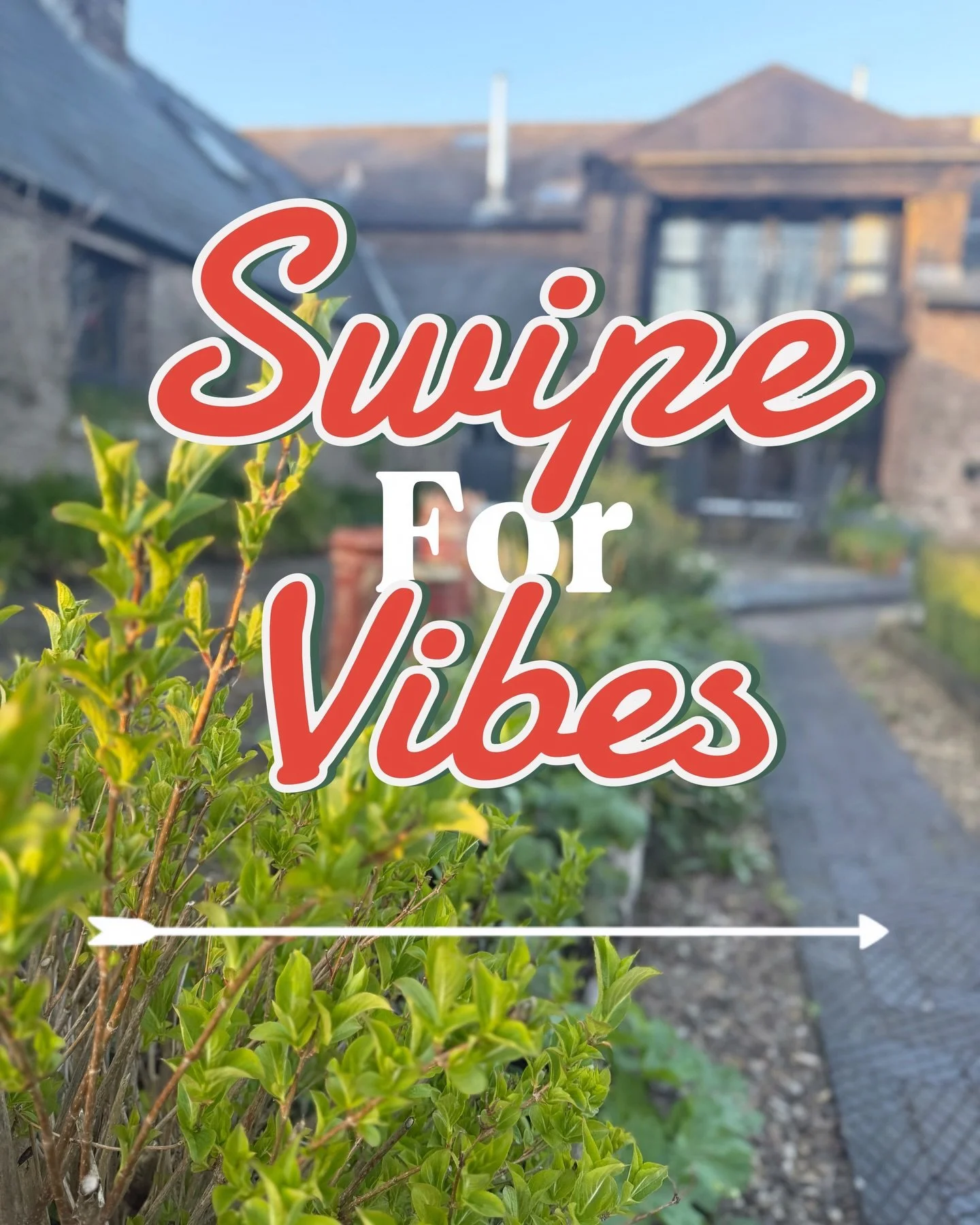 Good food, great people, unpredictable dice.