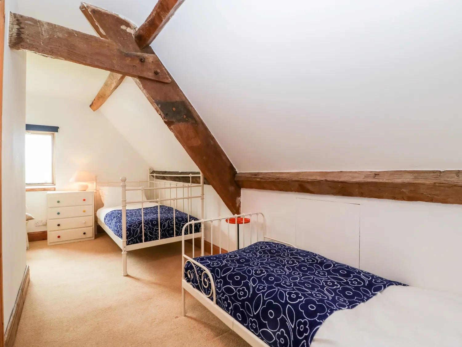 sc_1698398619_1129179_71.webp (Copy) (Copy) (Copy)