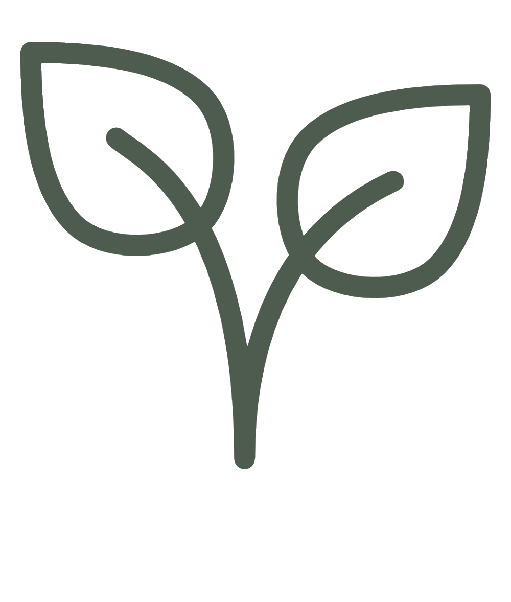 Simple line drawing of a small plant with two leaves.