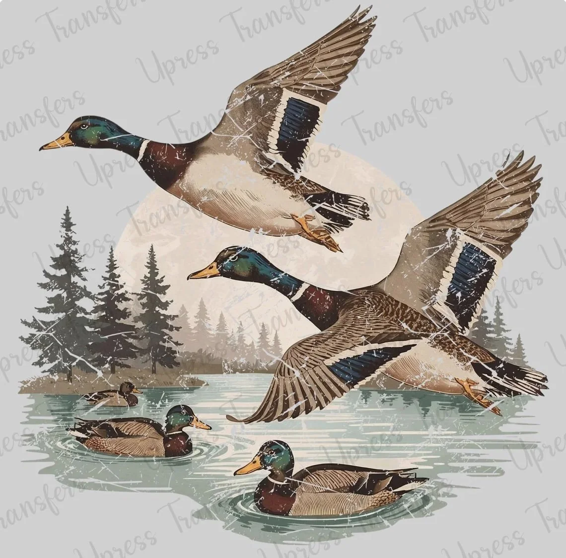 Vintage Mallards