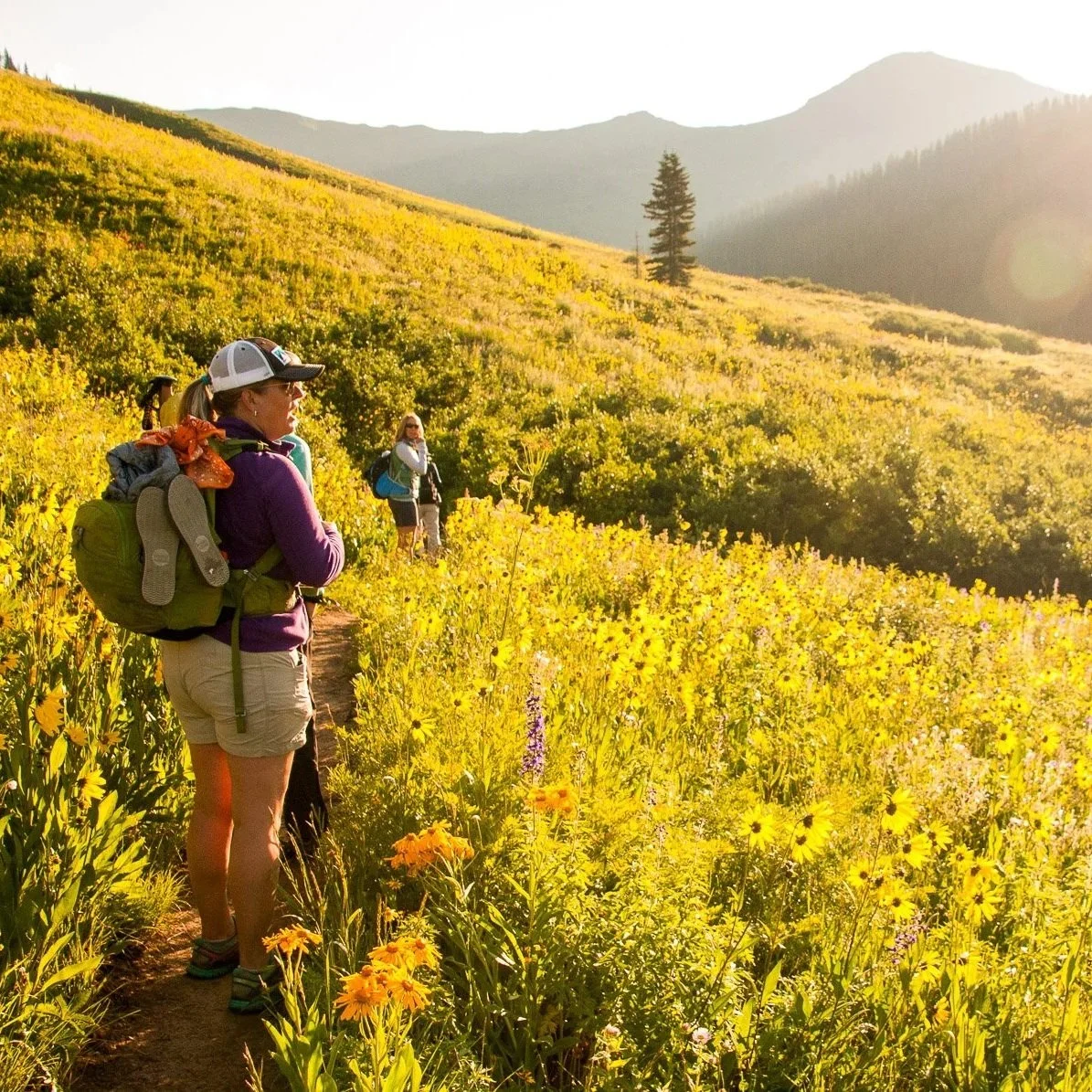 Three women hiking through a field of yellow wildflowers on a mountain trail during sunrise or sunset.