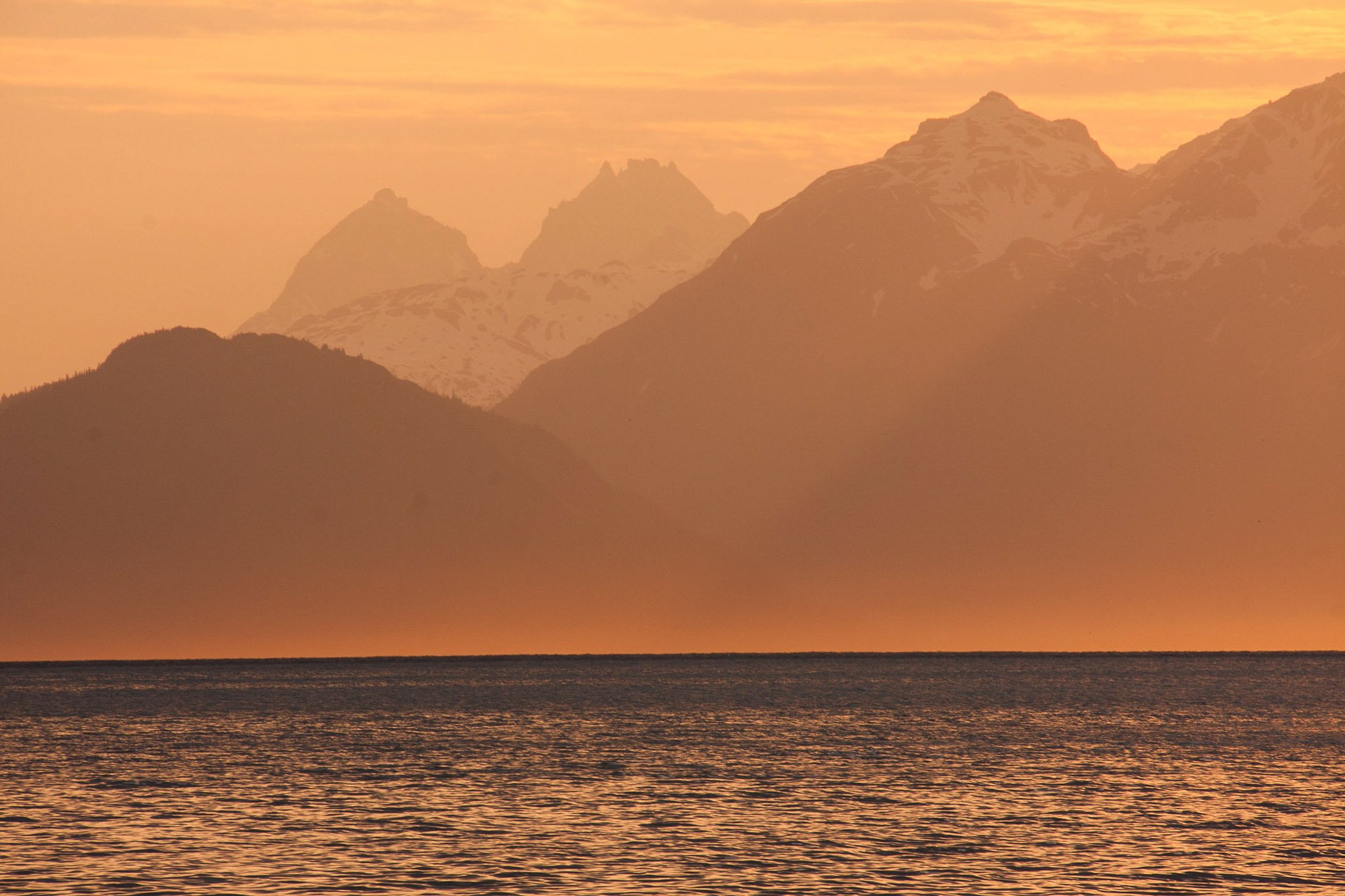 1-IMG_6716_edited-1.jpg