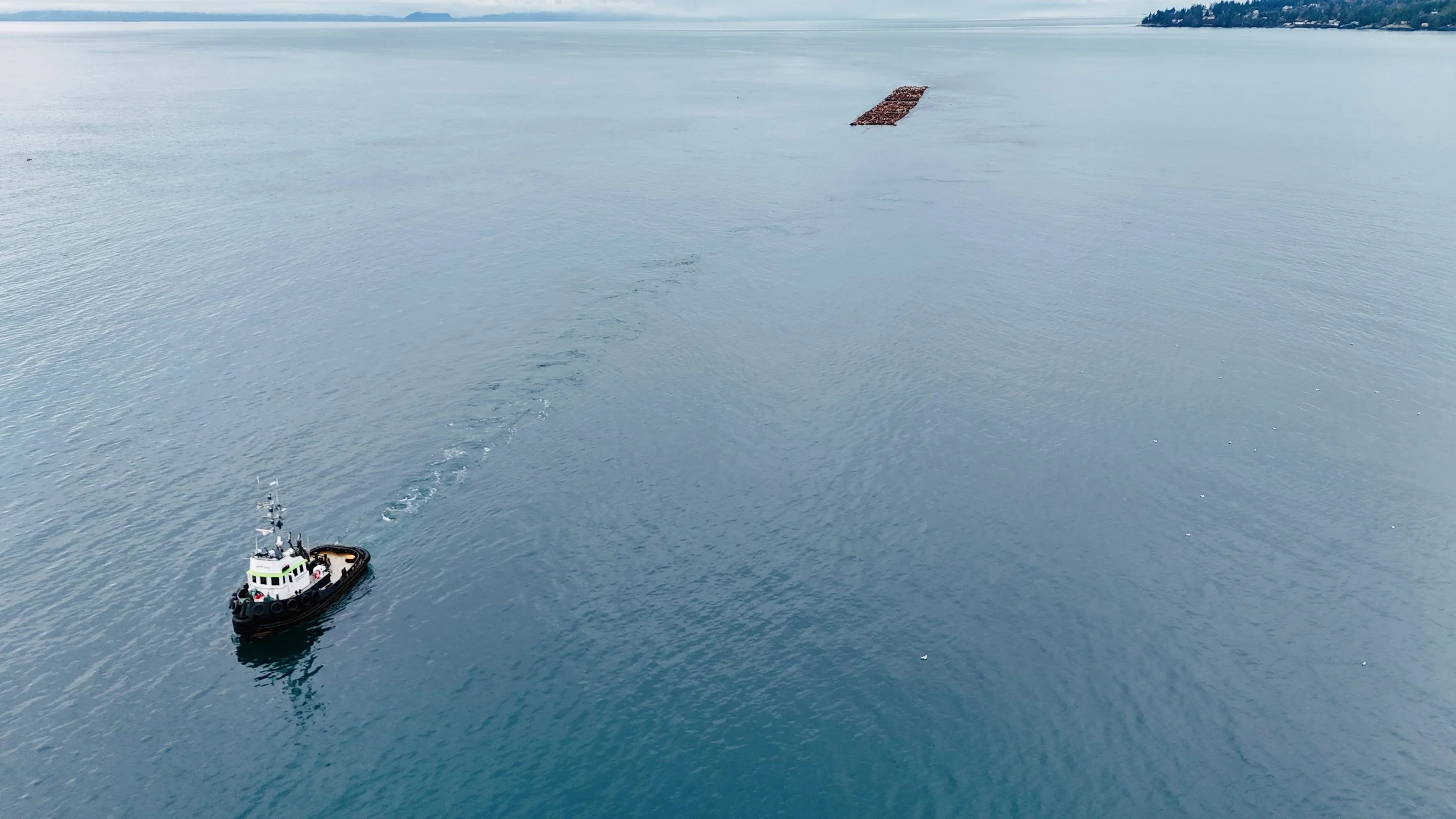 dji_fly_20240122_122920_0113_1705956379291_photo.jpeg