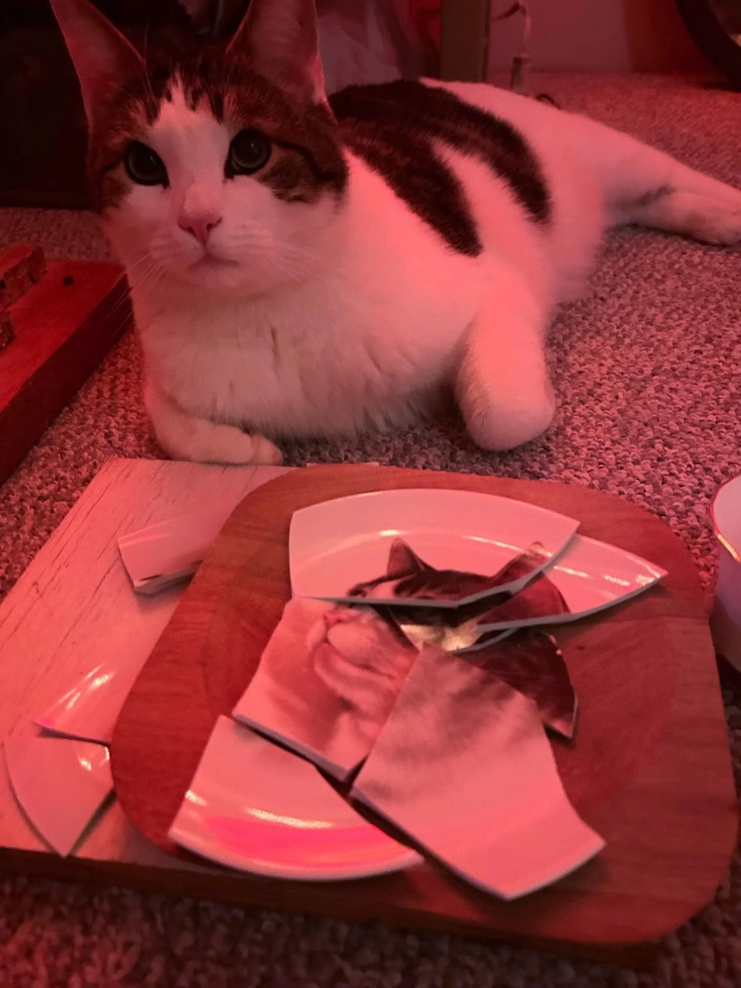 He can't wait for me to start in this...