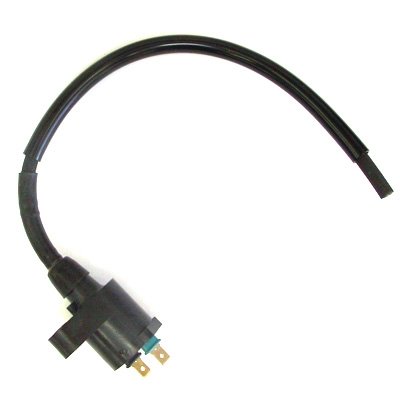 Honda TRX300 Fourtrax Ignition Coil, '88-'92 (Part #RSXR6IGN)