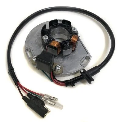 KTM 125SX stator, 1998-2005 (Part #RSKTM2K1-A)