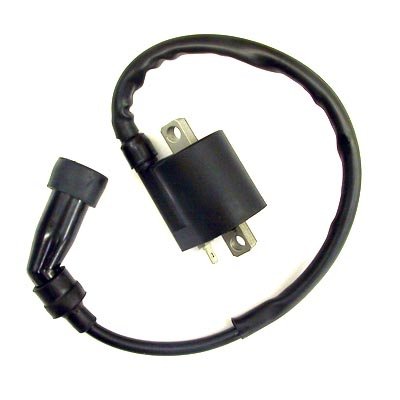 Yamaha Raptor 350  Ignition Coil, '02-'08 (Part #RSWARIGN)
